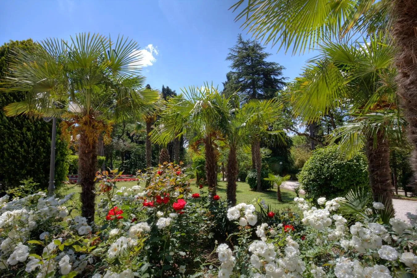 Garden view in Hotel Villa Quiete