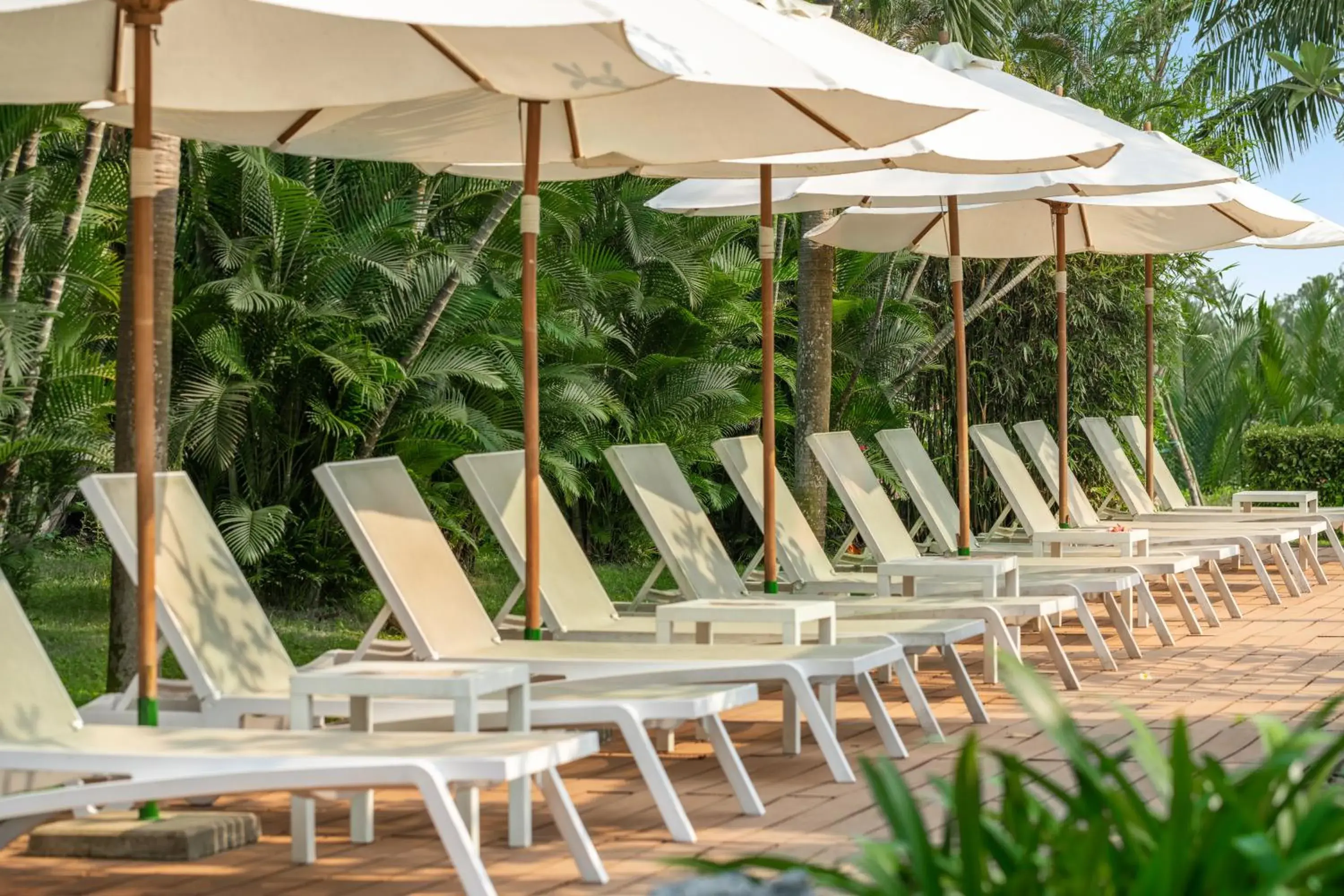 Pool view in Silk Sense Hoi An River Resort - A Sustainable Destination Pool view in Silk Sense Hoi An River Resort - A Sustainable Destination