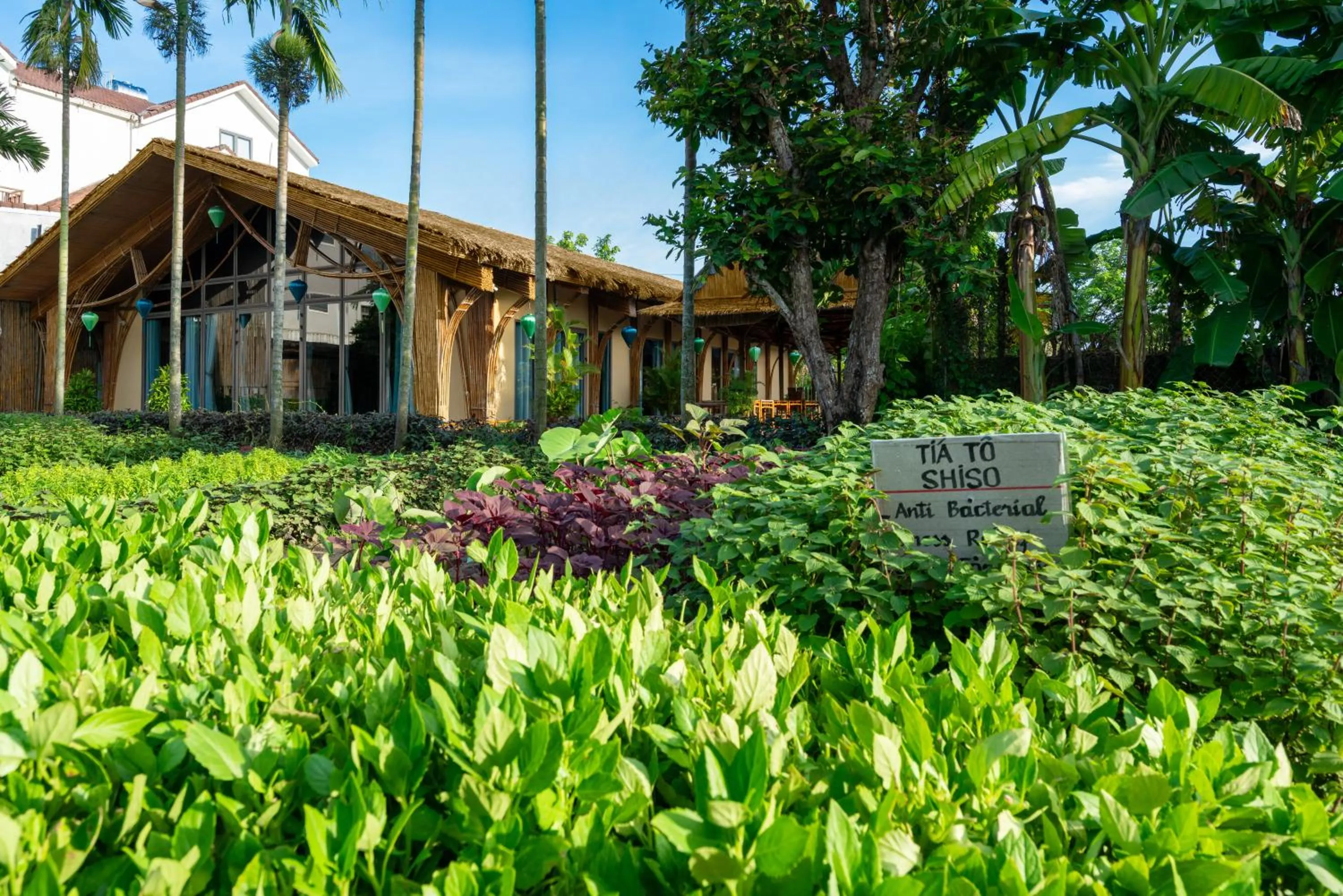 Garden in Silk Sense Hoi An River Resort - Green Luxury Escape