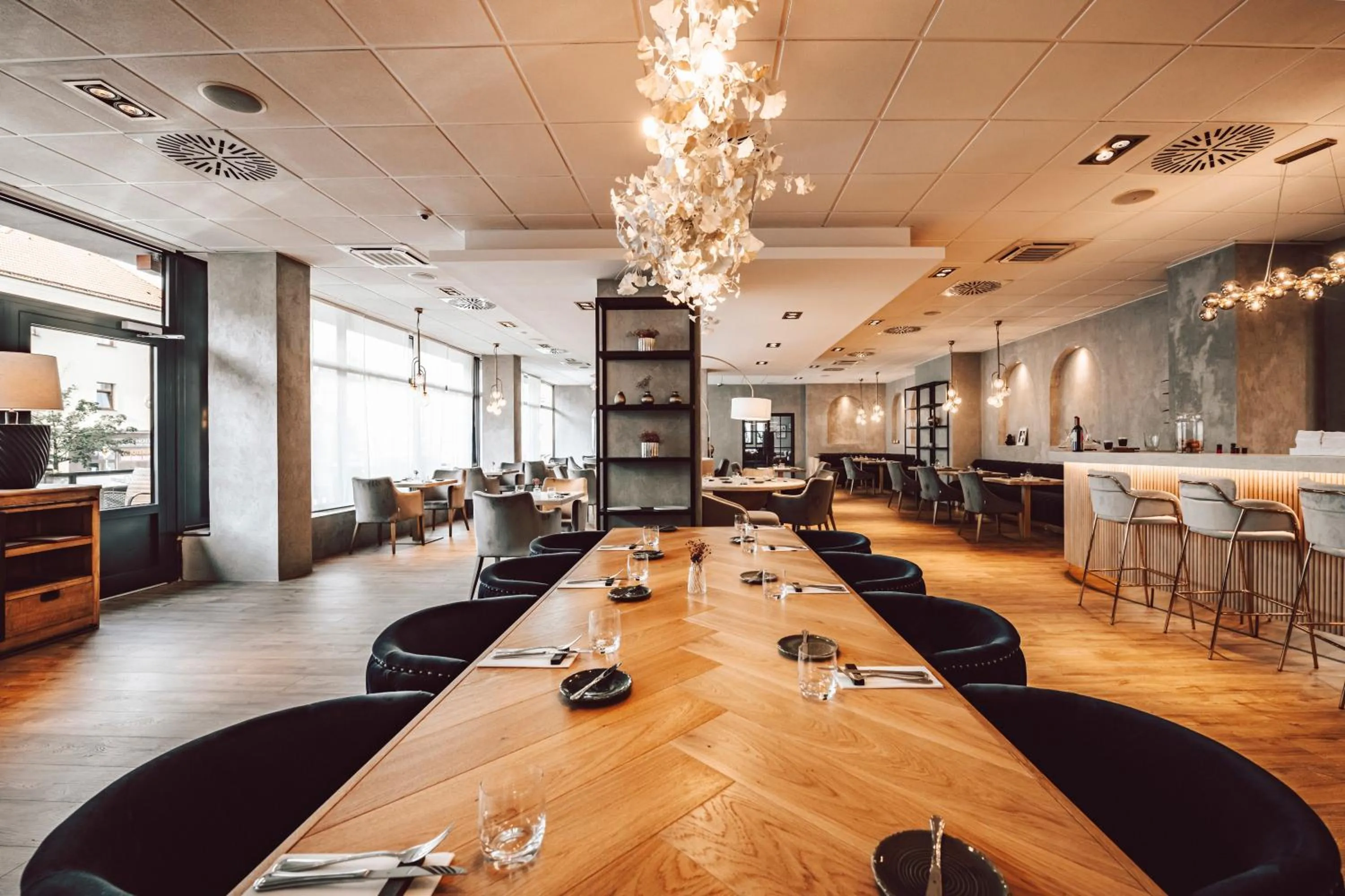 Restaurant/places to eat in Hotel Palcát