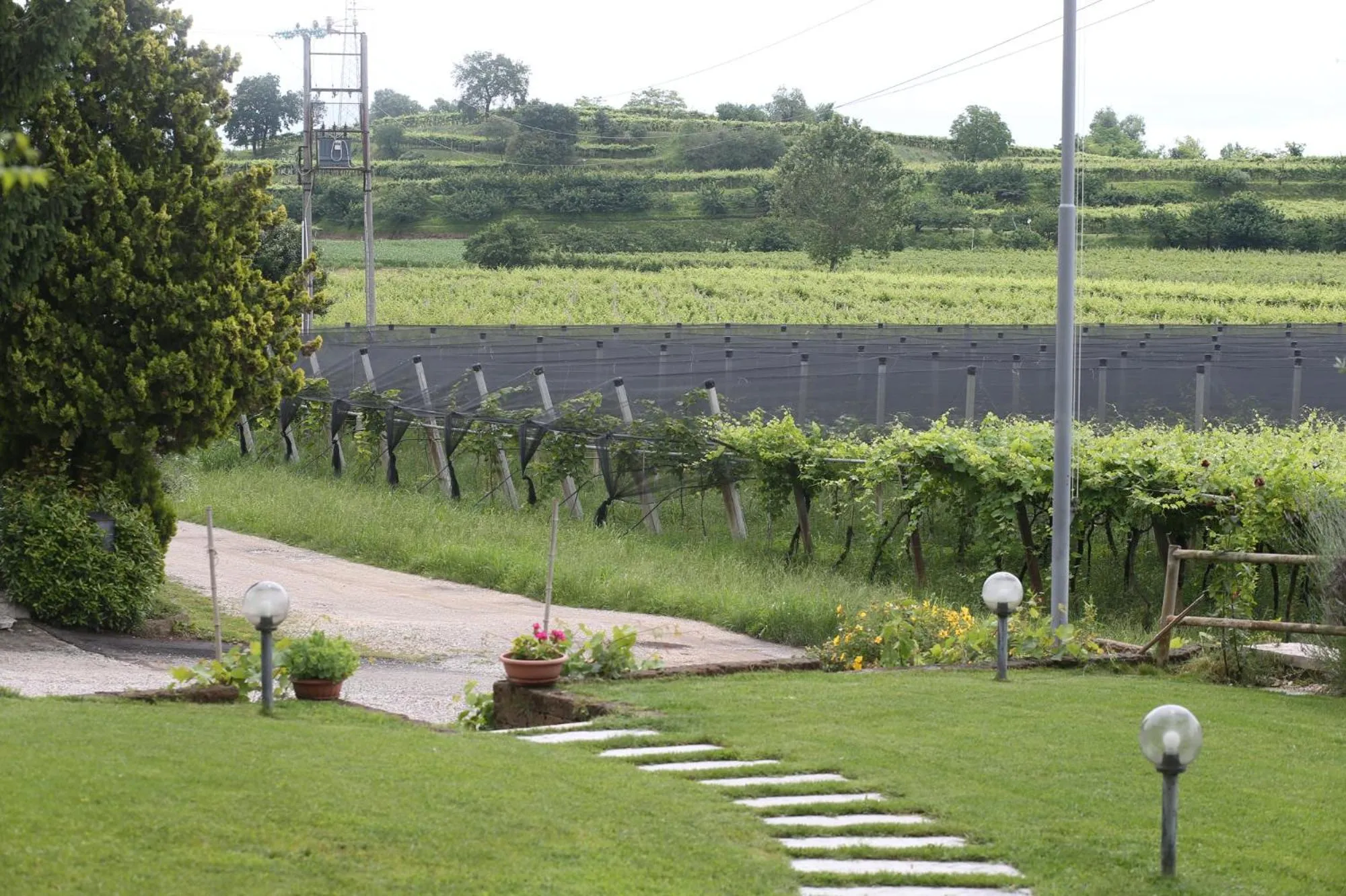 View (from property/room) in Agriturismo La Palazzina