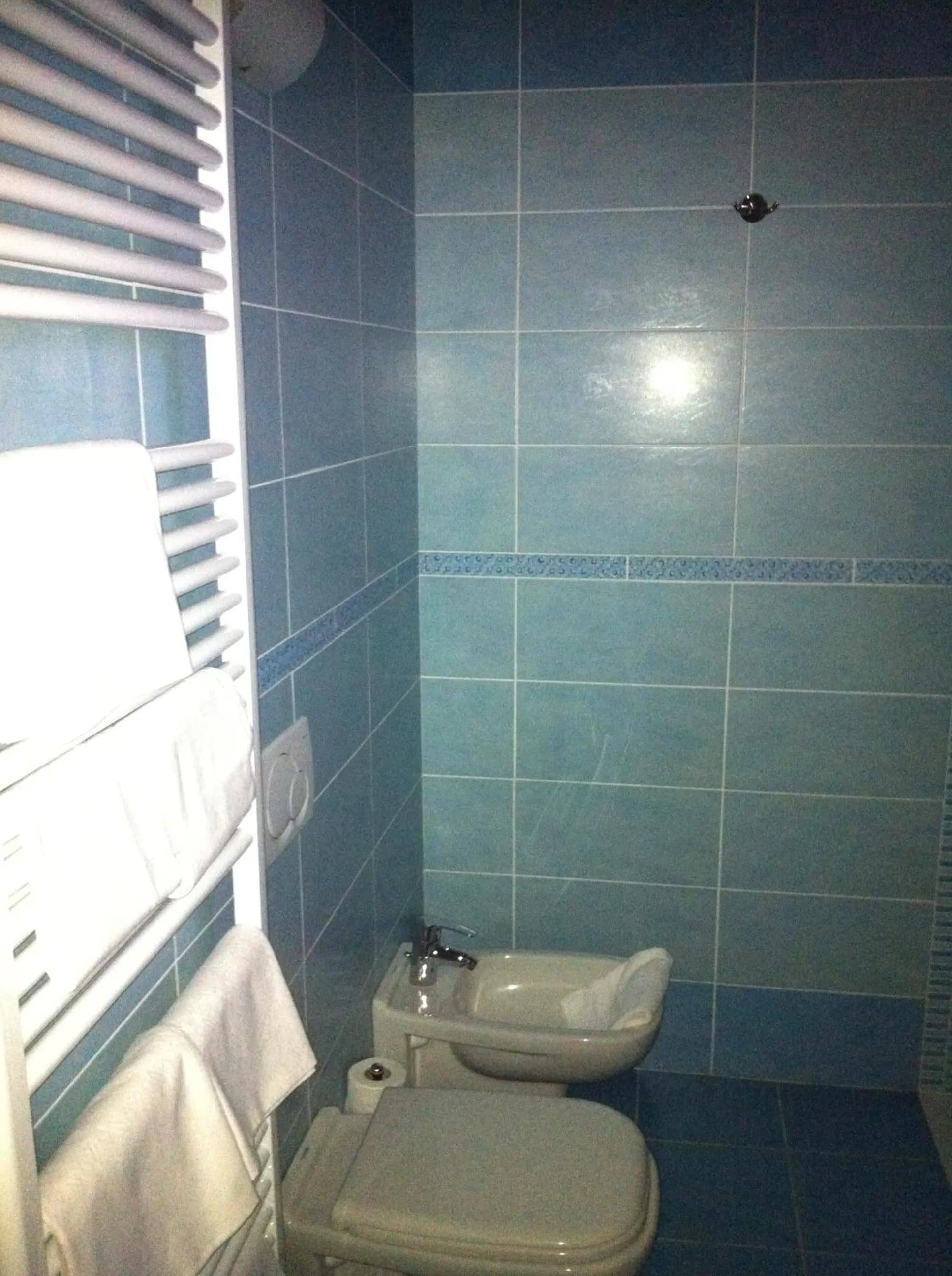 Toilet in Agriturismo La Palazzina