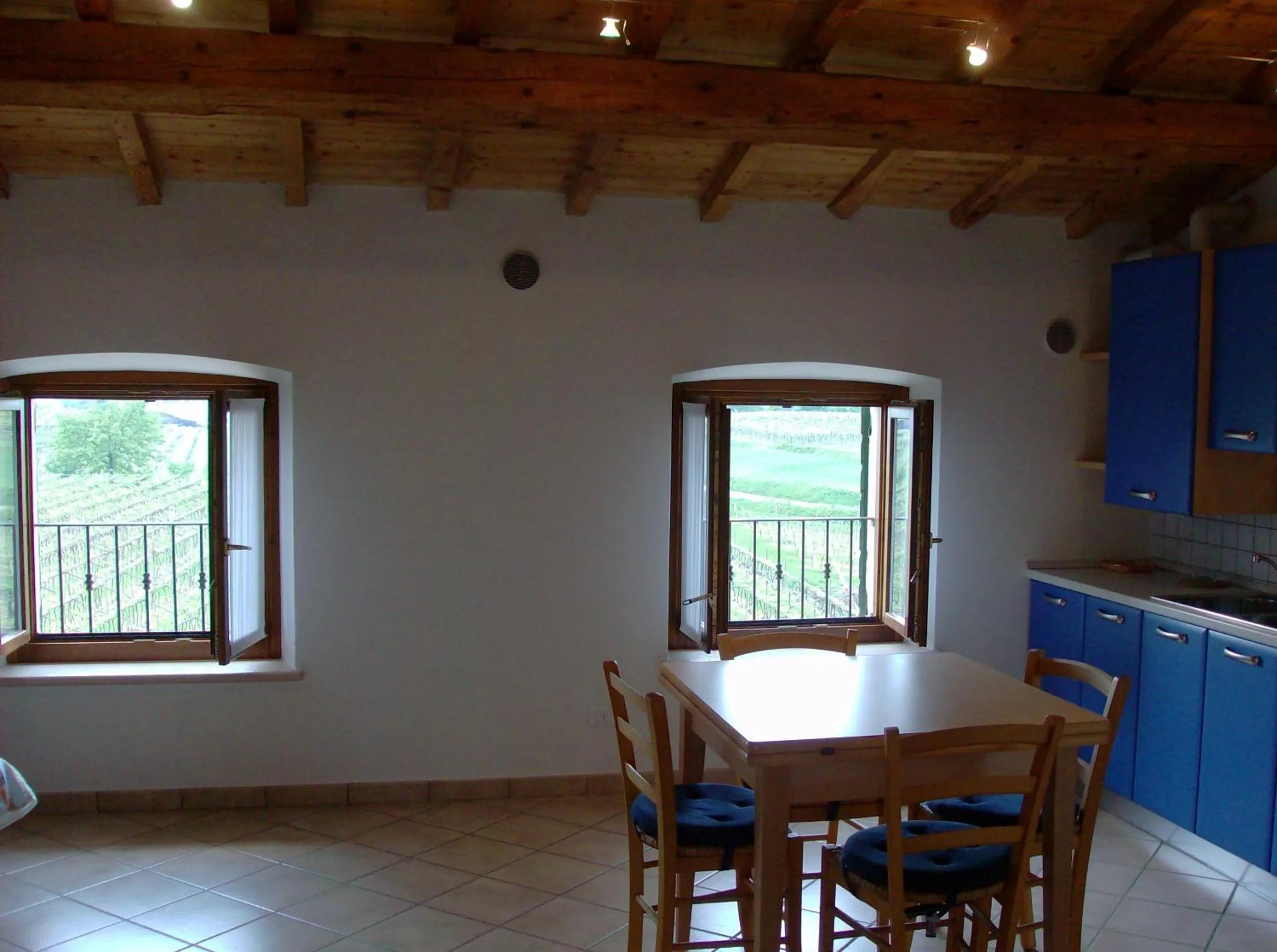 Kitchen or kitchenette in Agriturismo La Palazzina