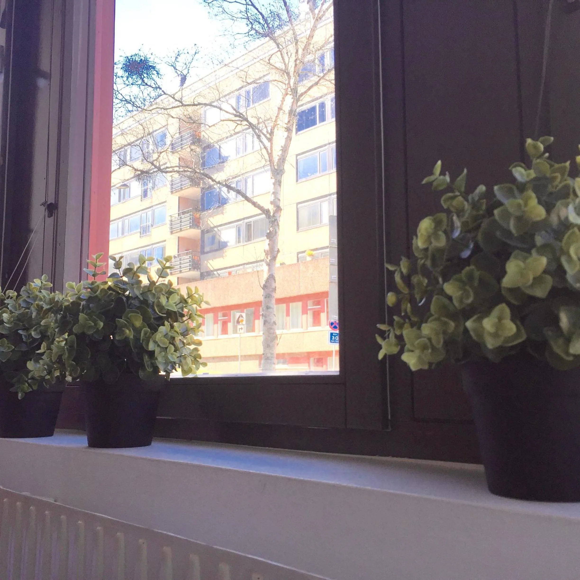 Day in Linné Hostel