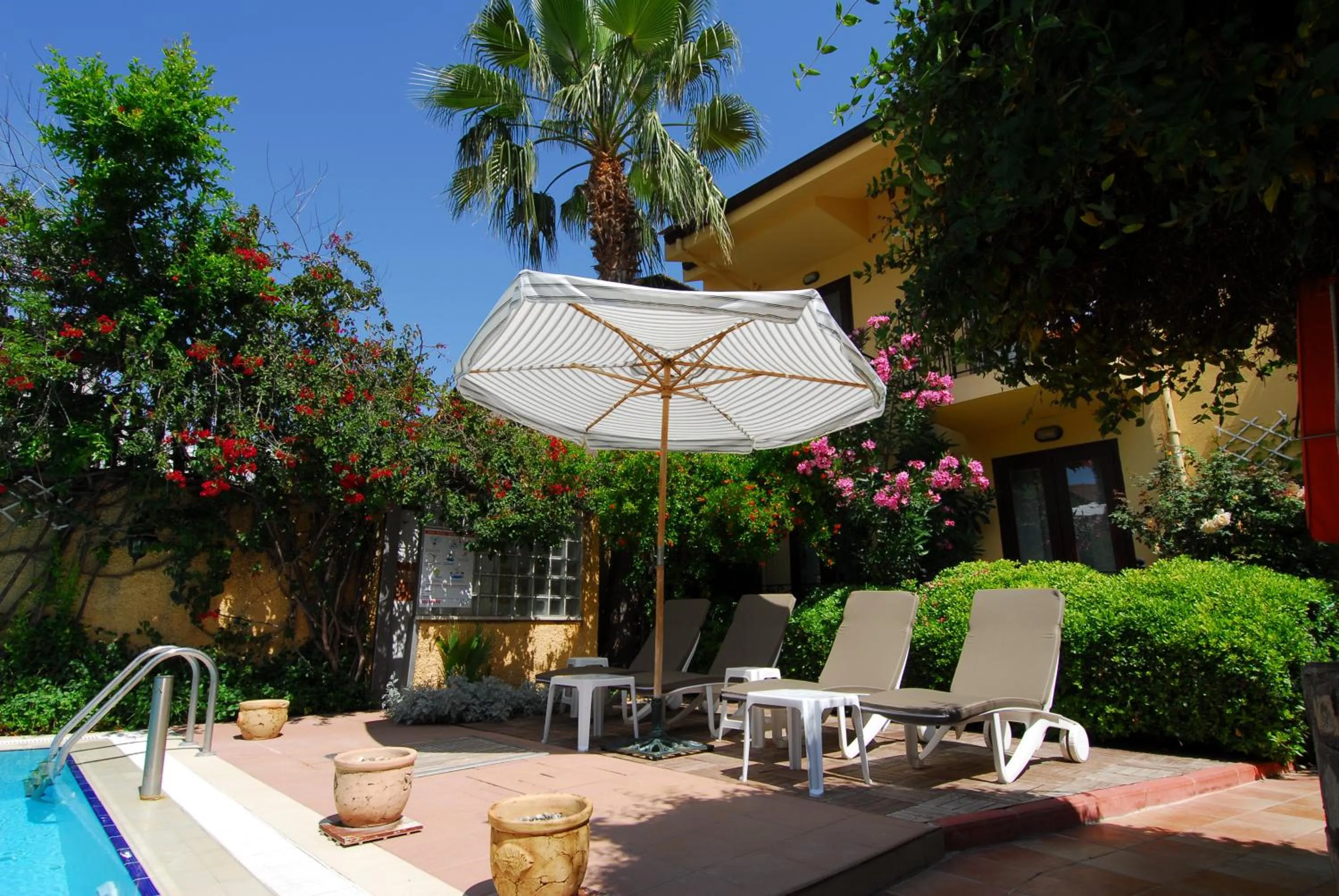 Garden in Villa Danlin Hotel