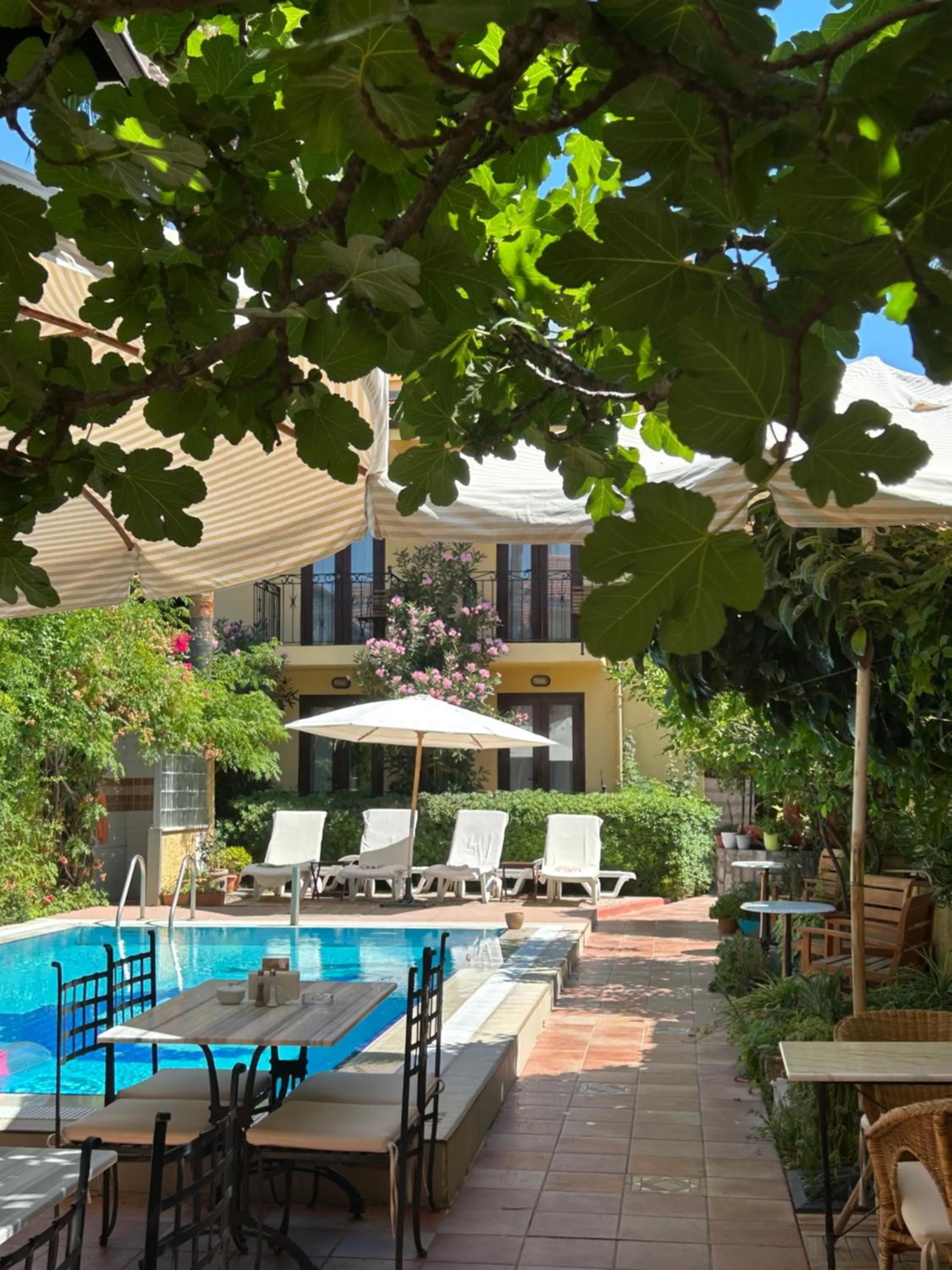 Patio in Villa Danlin Hotel