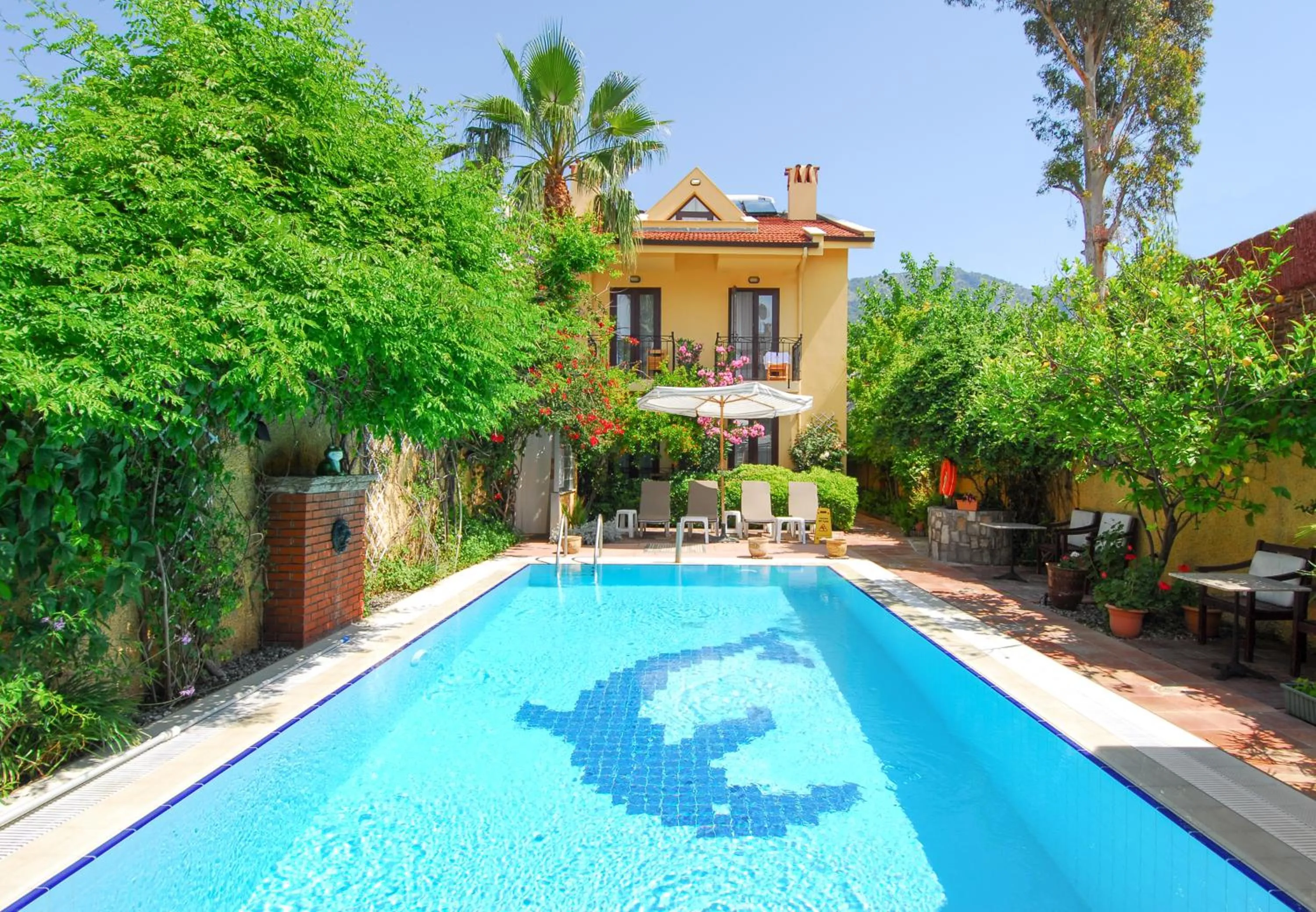 Swimming pool in Villa Danlin Hotel