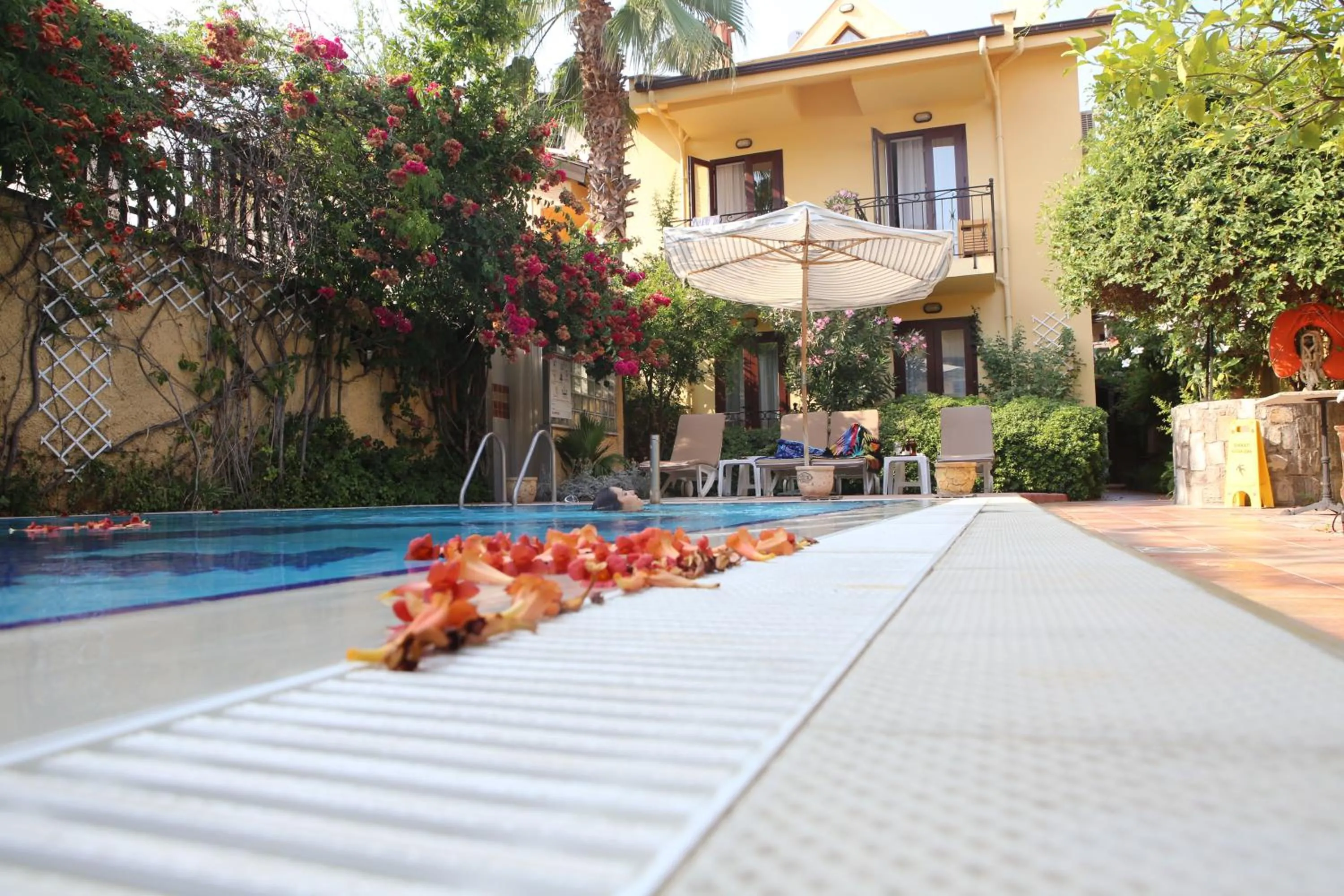 Garden in Villa Danlin Hotel