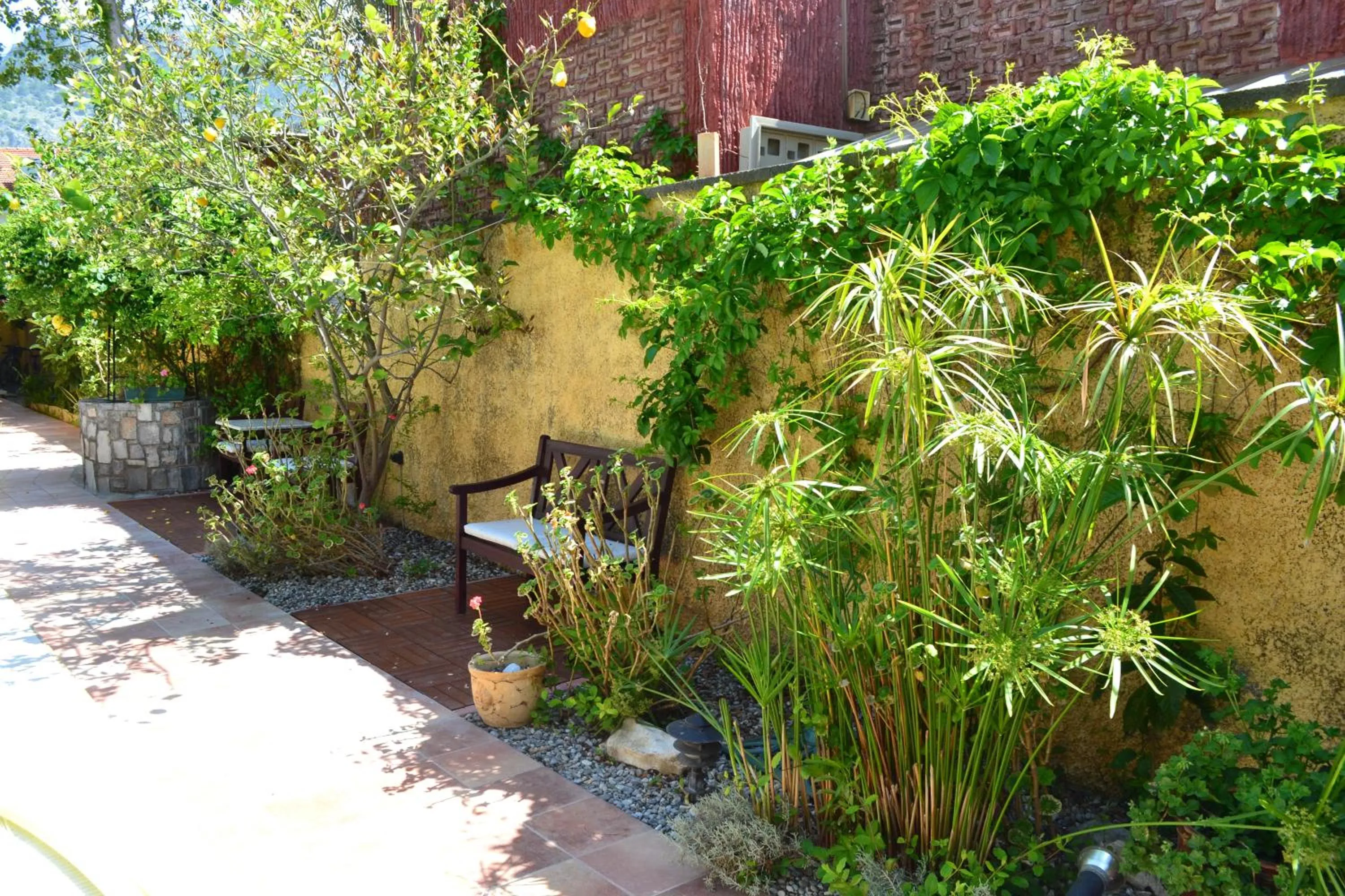 Garden in Villa Danlin Hotel