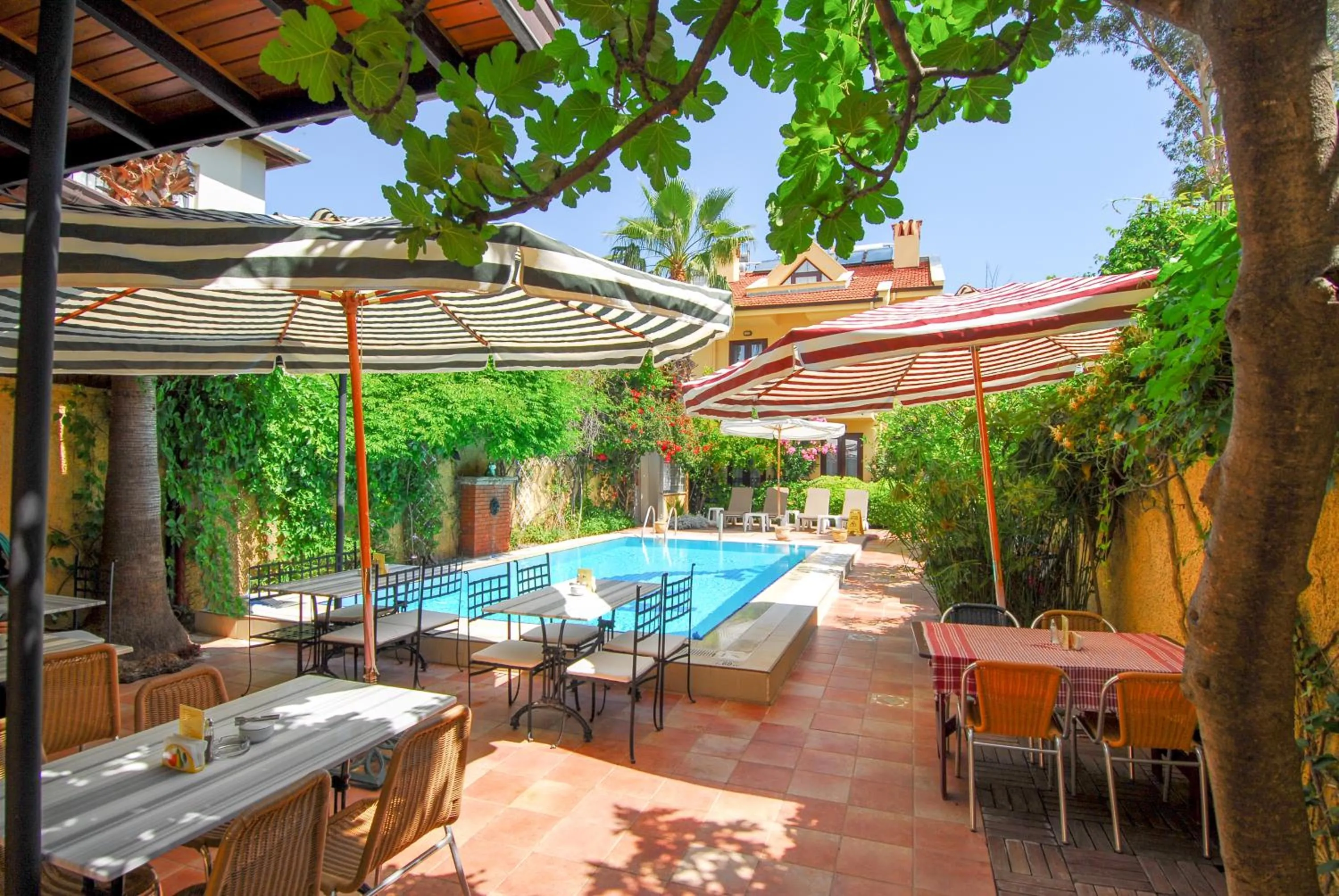 Garden in Villa Danlin Hotel