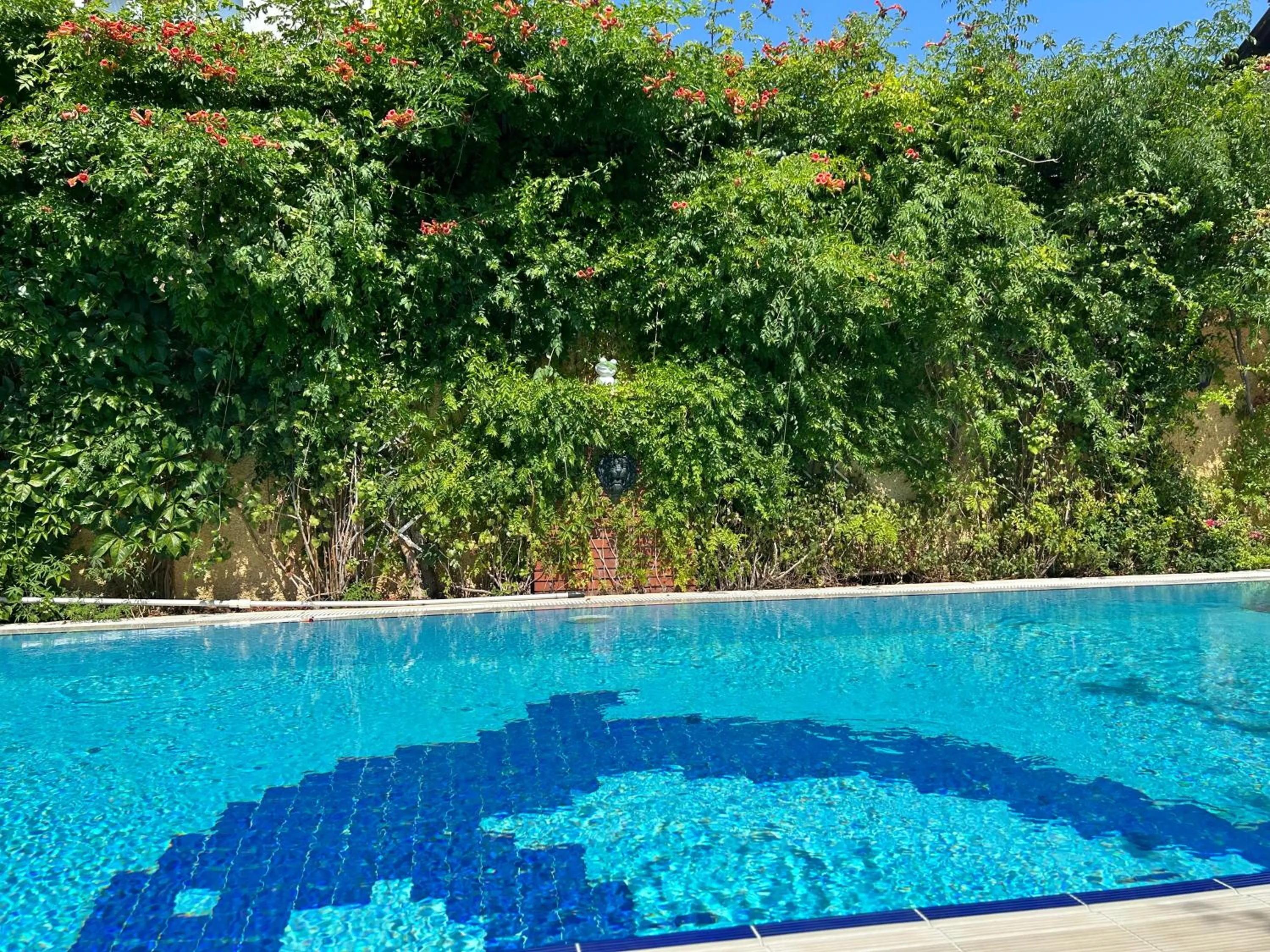 Swimming pool in Villa Danlin Hotel