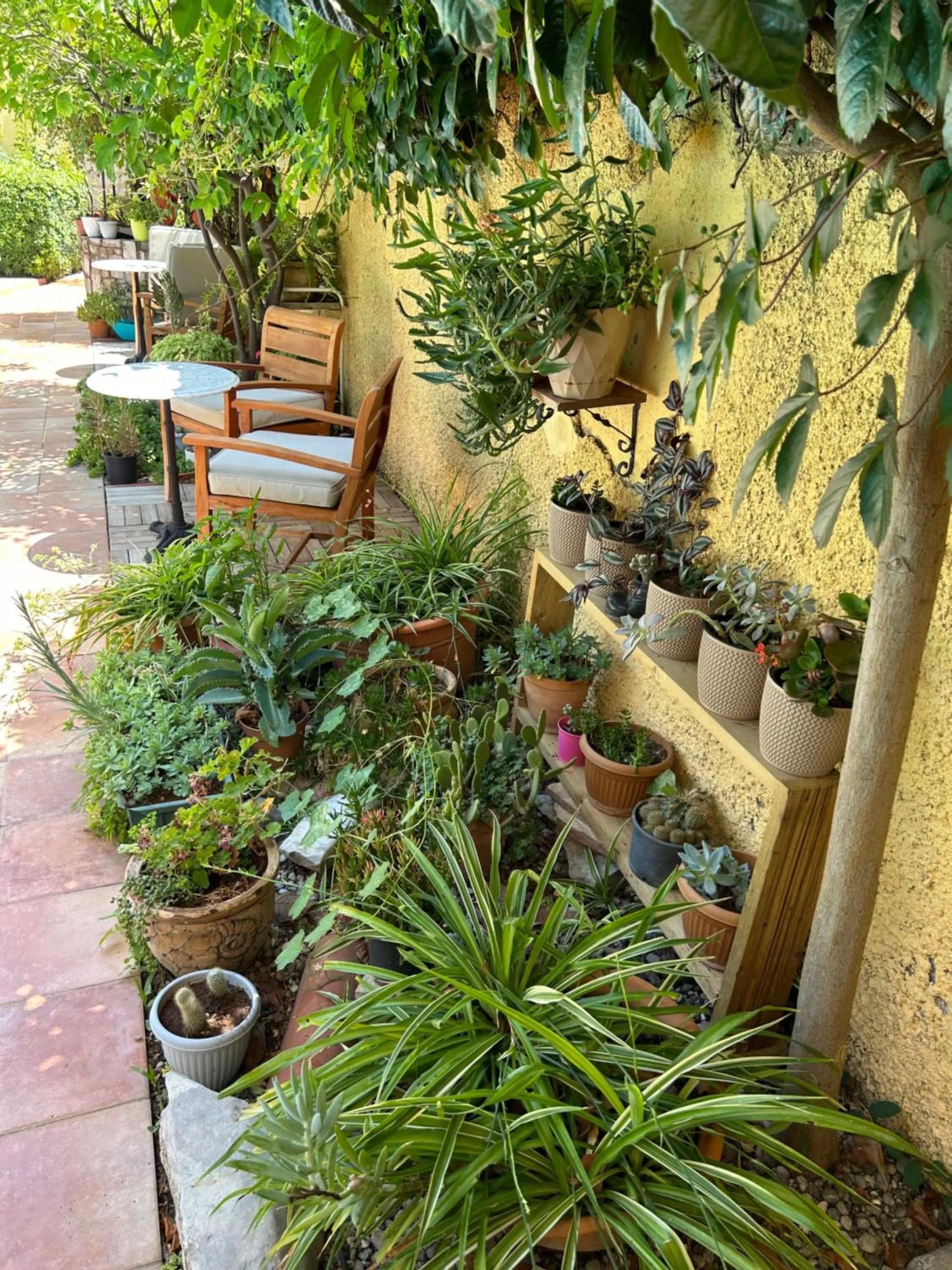 Patio in Villa Danlin Hotel