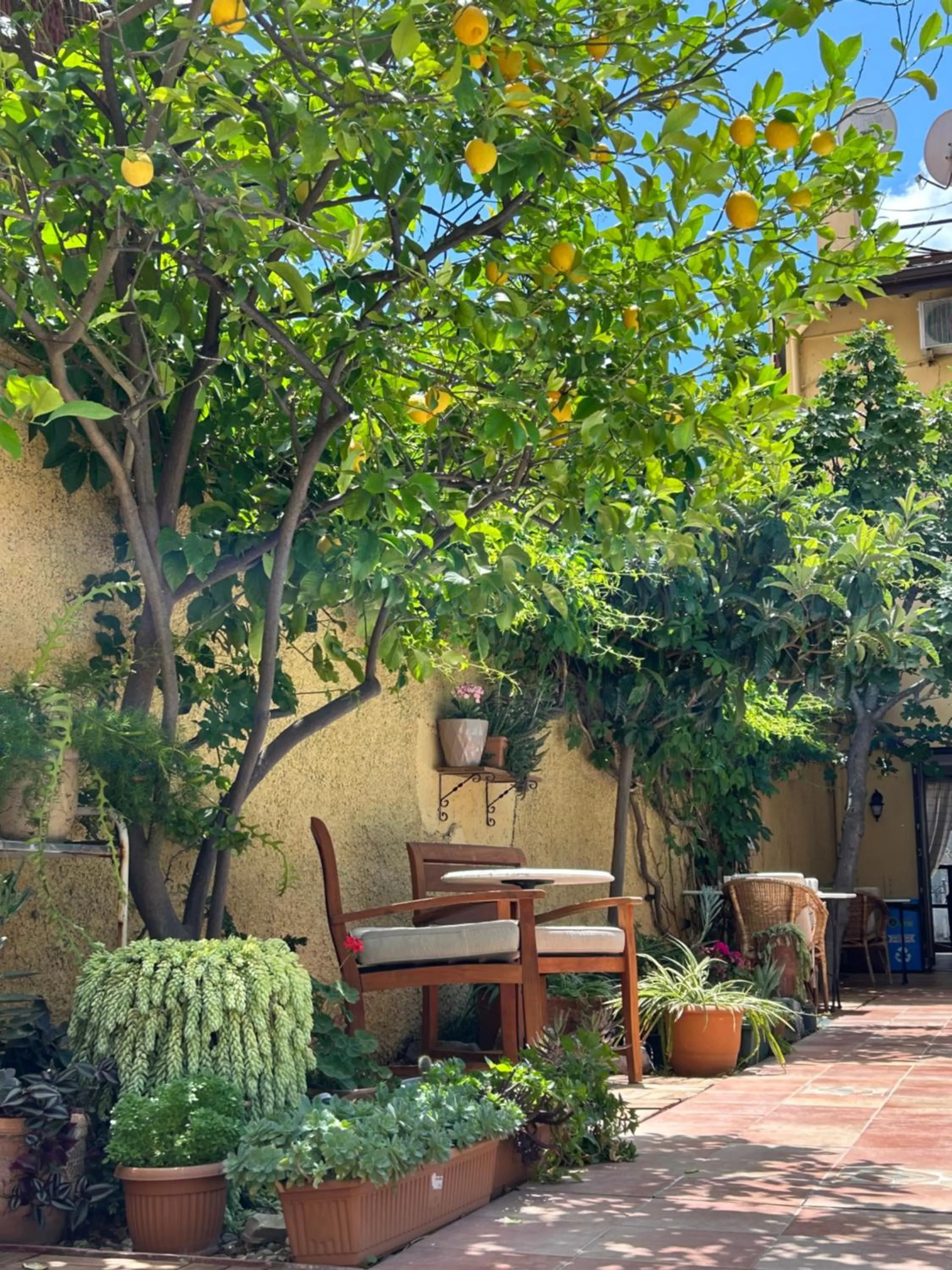 Patio in Villa Danlin Hotel