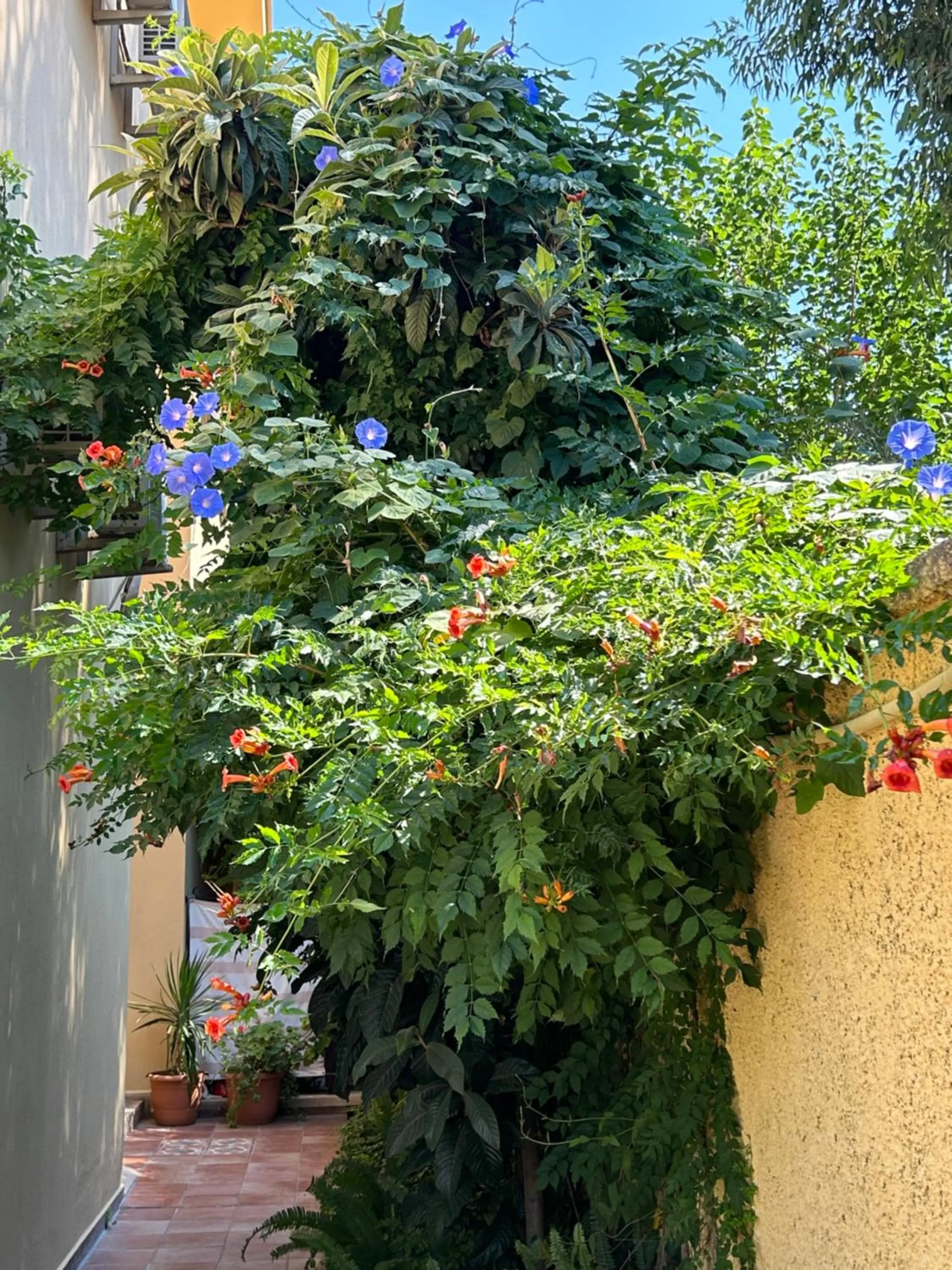 Garden in Villa Danlin Hotel