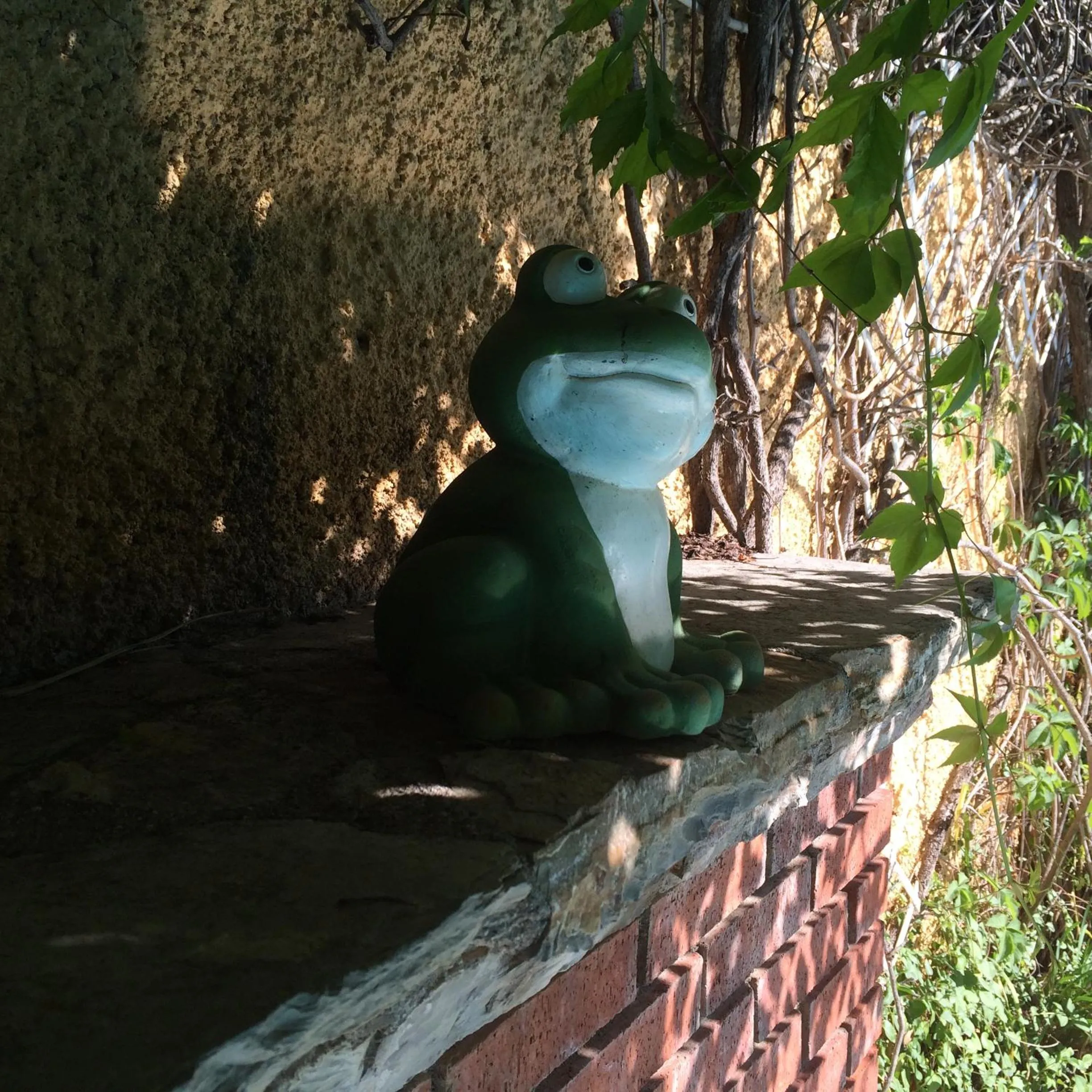 Garden in Villa Danlin Hotel