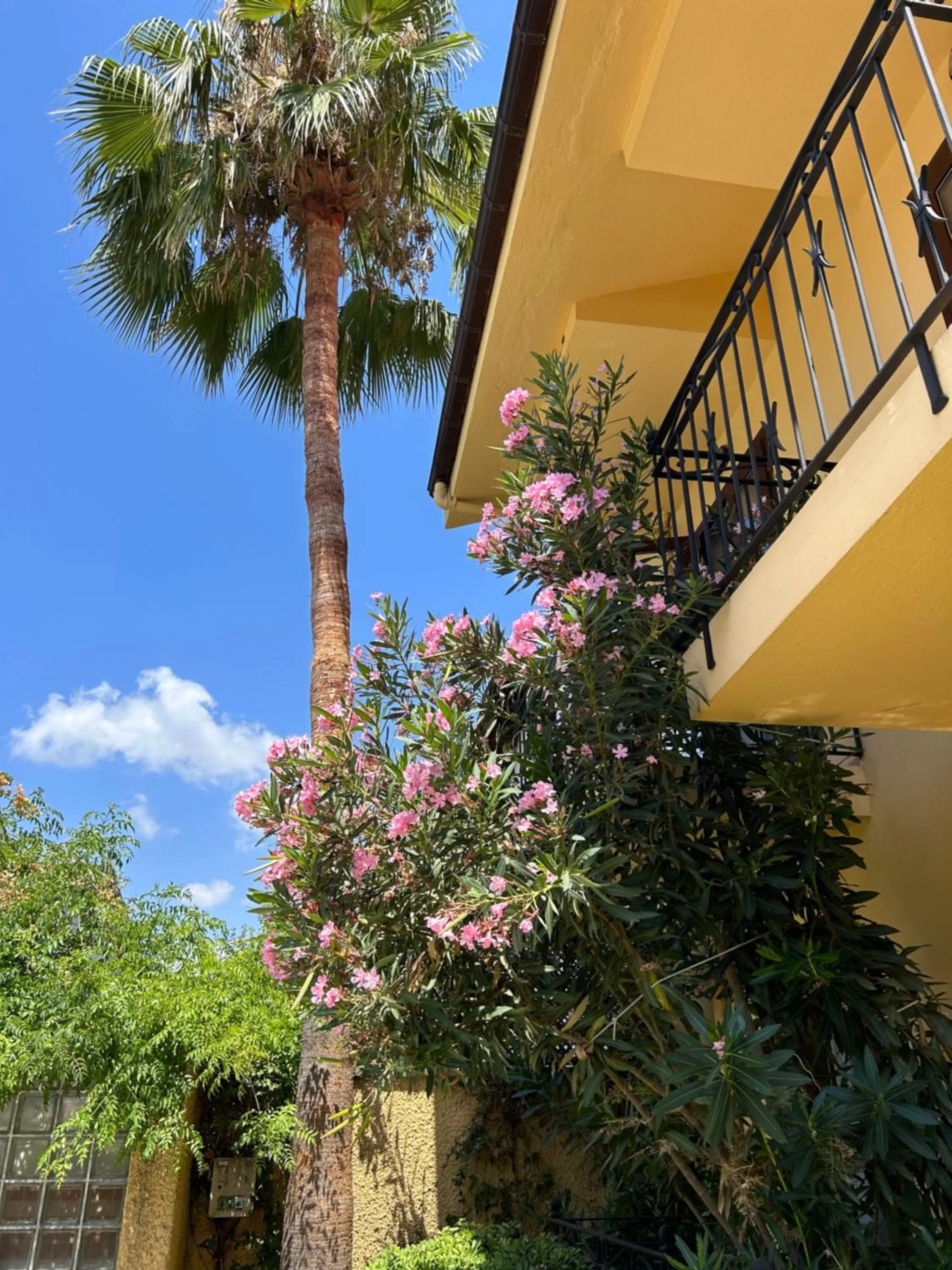 Balcony/Terrace in Villa Danlin Hotel