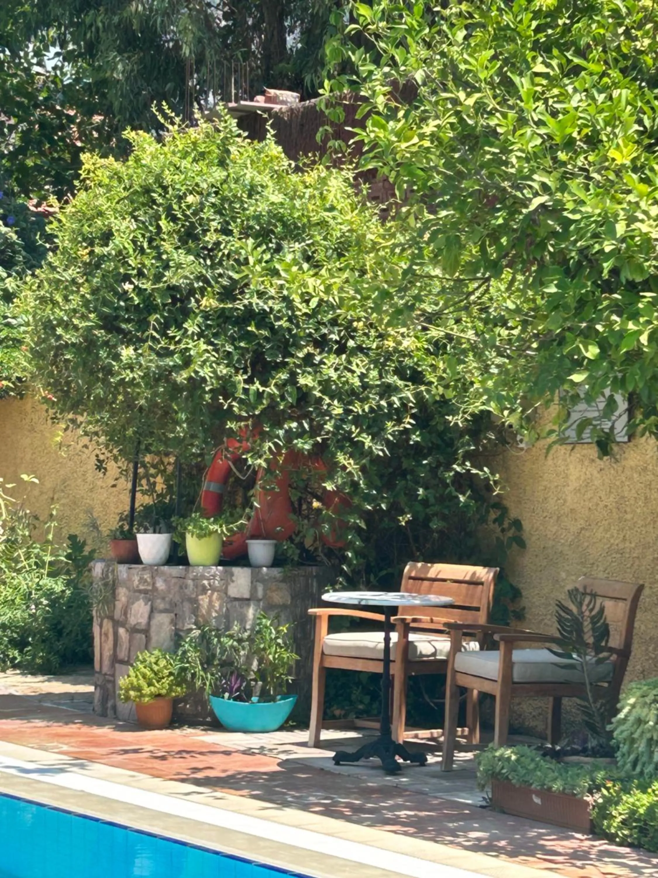 Garden in Villa Danlin Hotel