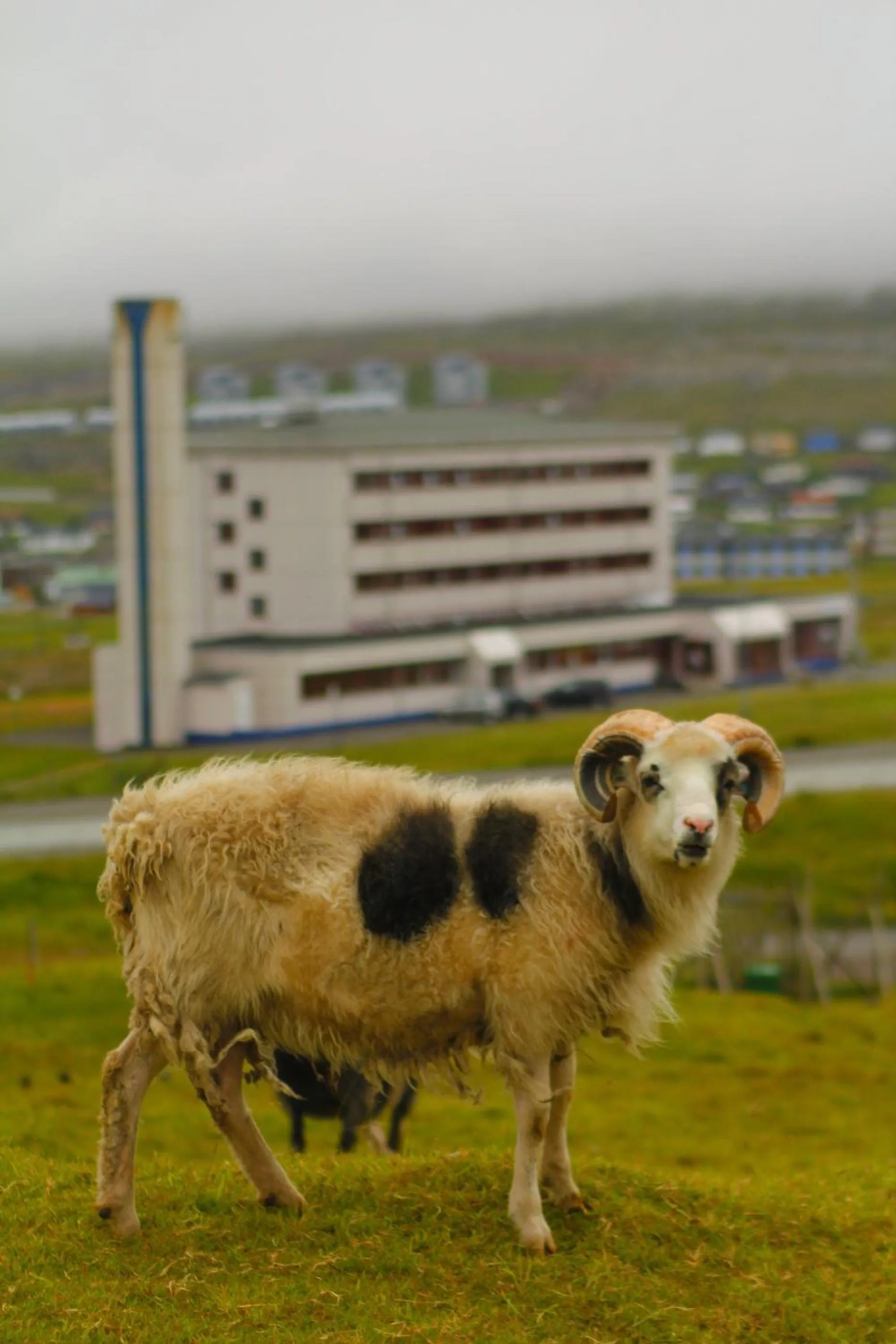 Facade/entrance in 62N Guesthouse Marknagil