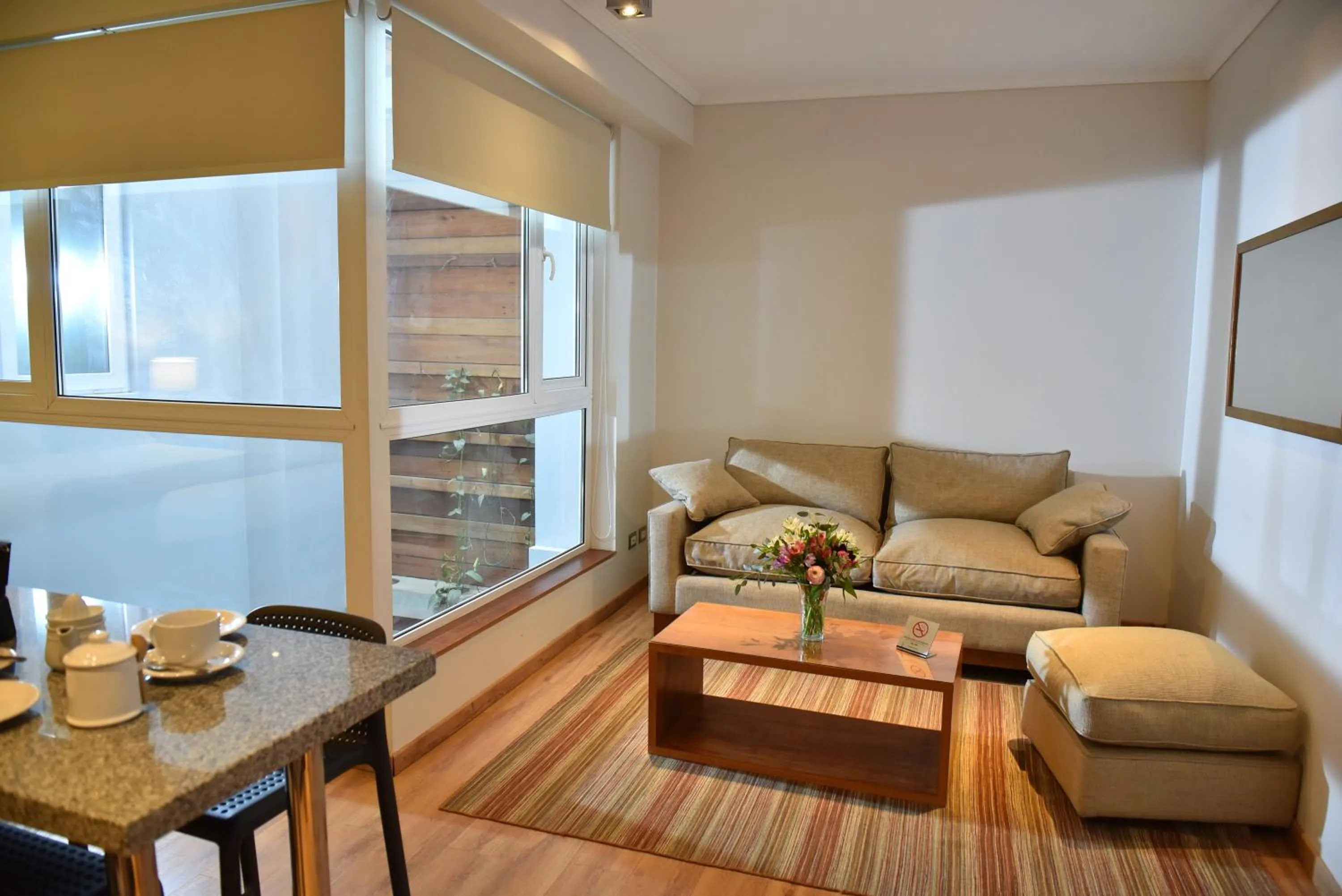 Living room in Lastarria Aparts