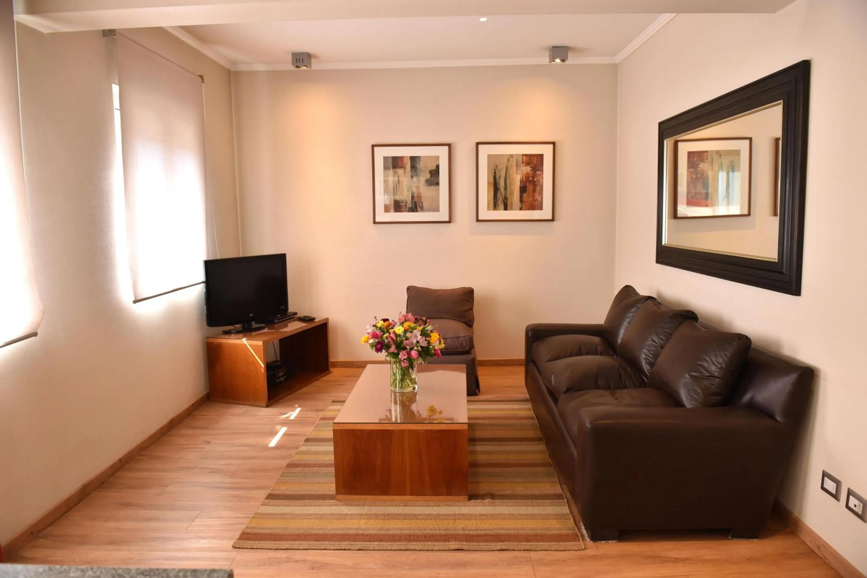 Living room in Lastarria Aparts