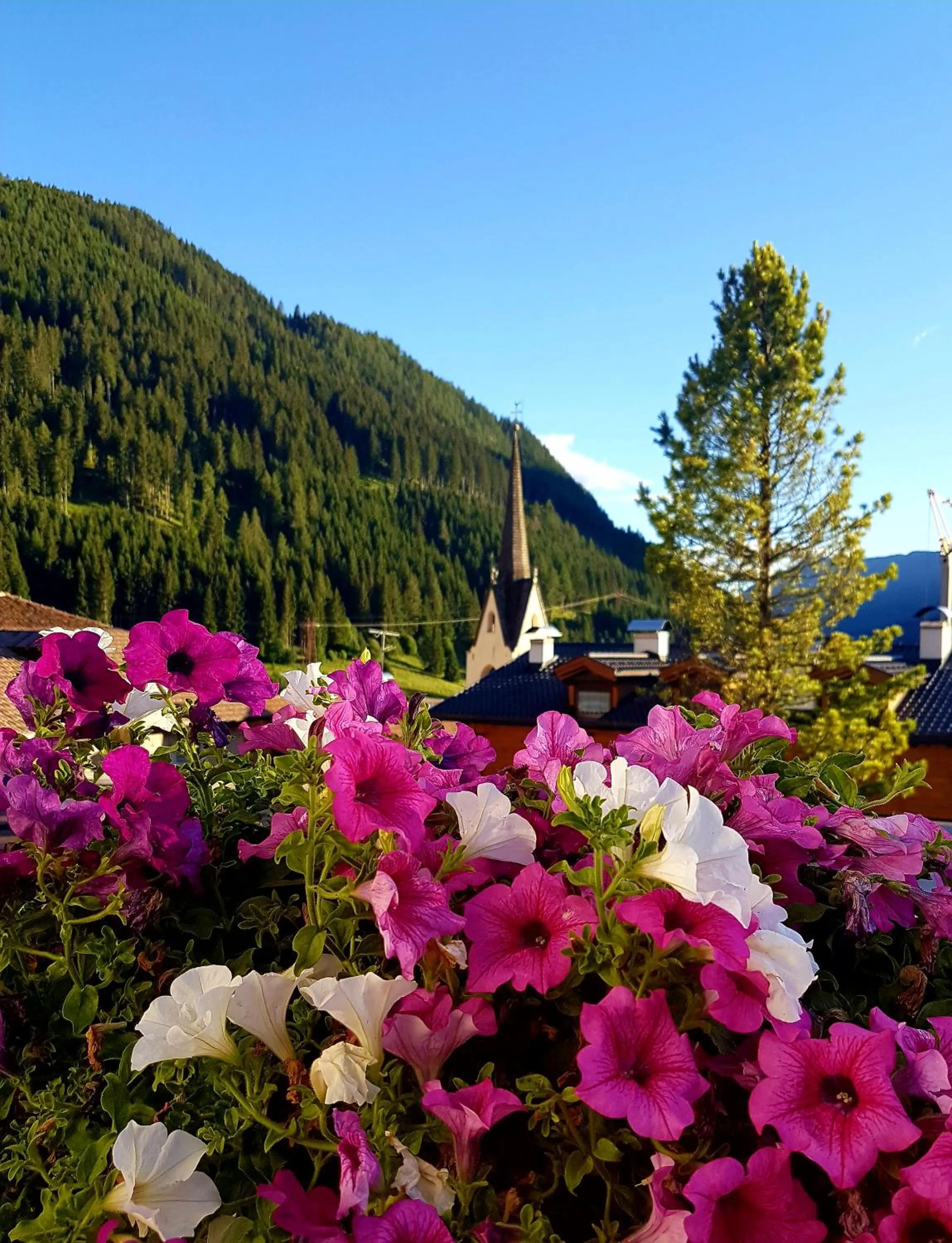 Ciasa Alpina Relax Hotel