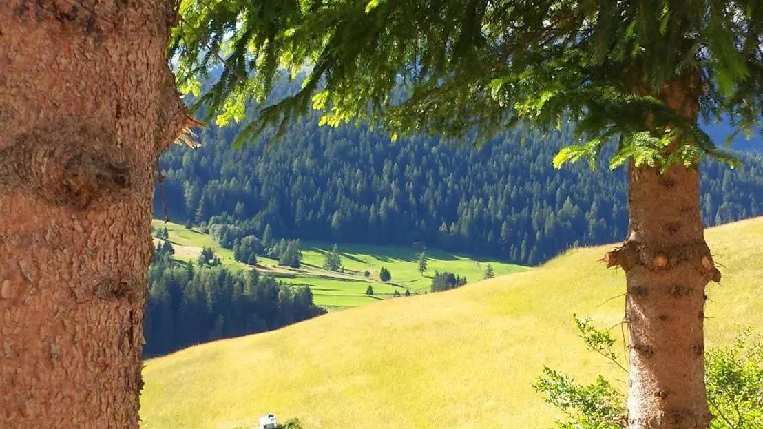 Ciasa Alpina Relax Hotel