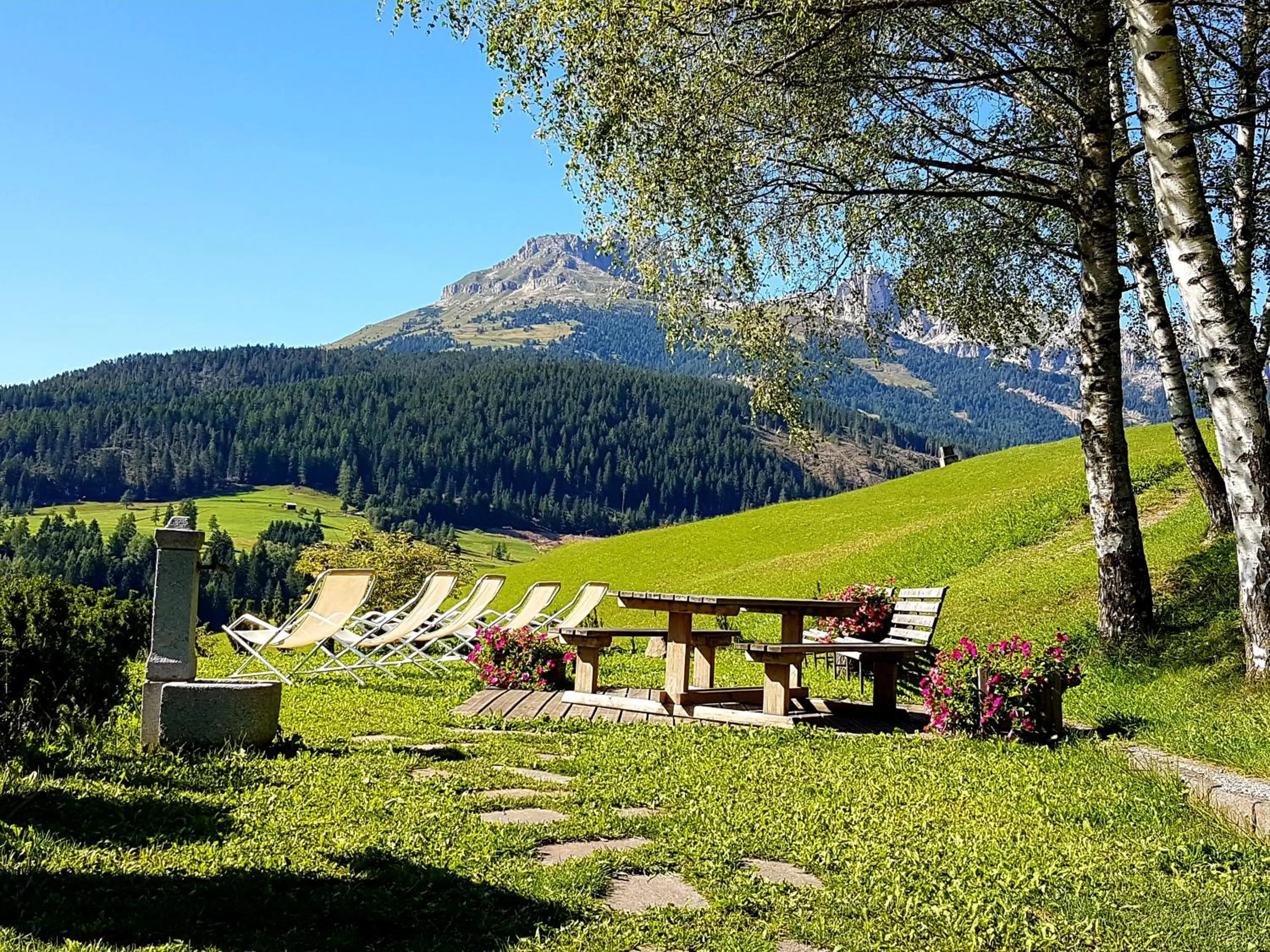 Ciasa Alpina Relax Hotel