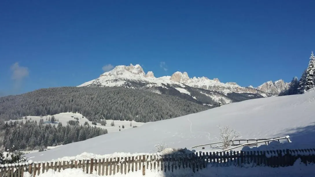 Ciasa Alpina Relax Hotel