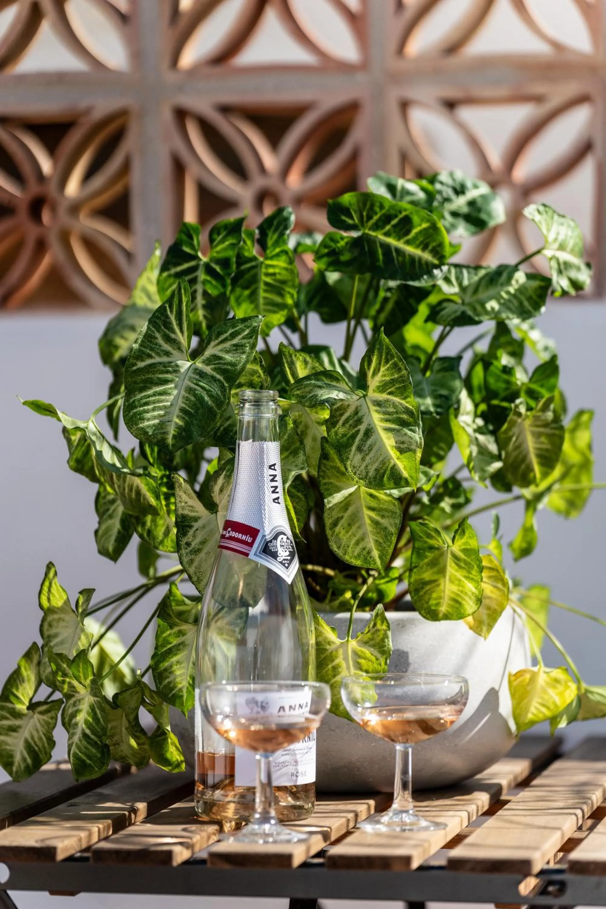 Drinks in I AM La Posada Hotel and Apartment