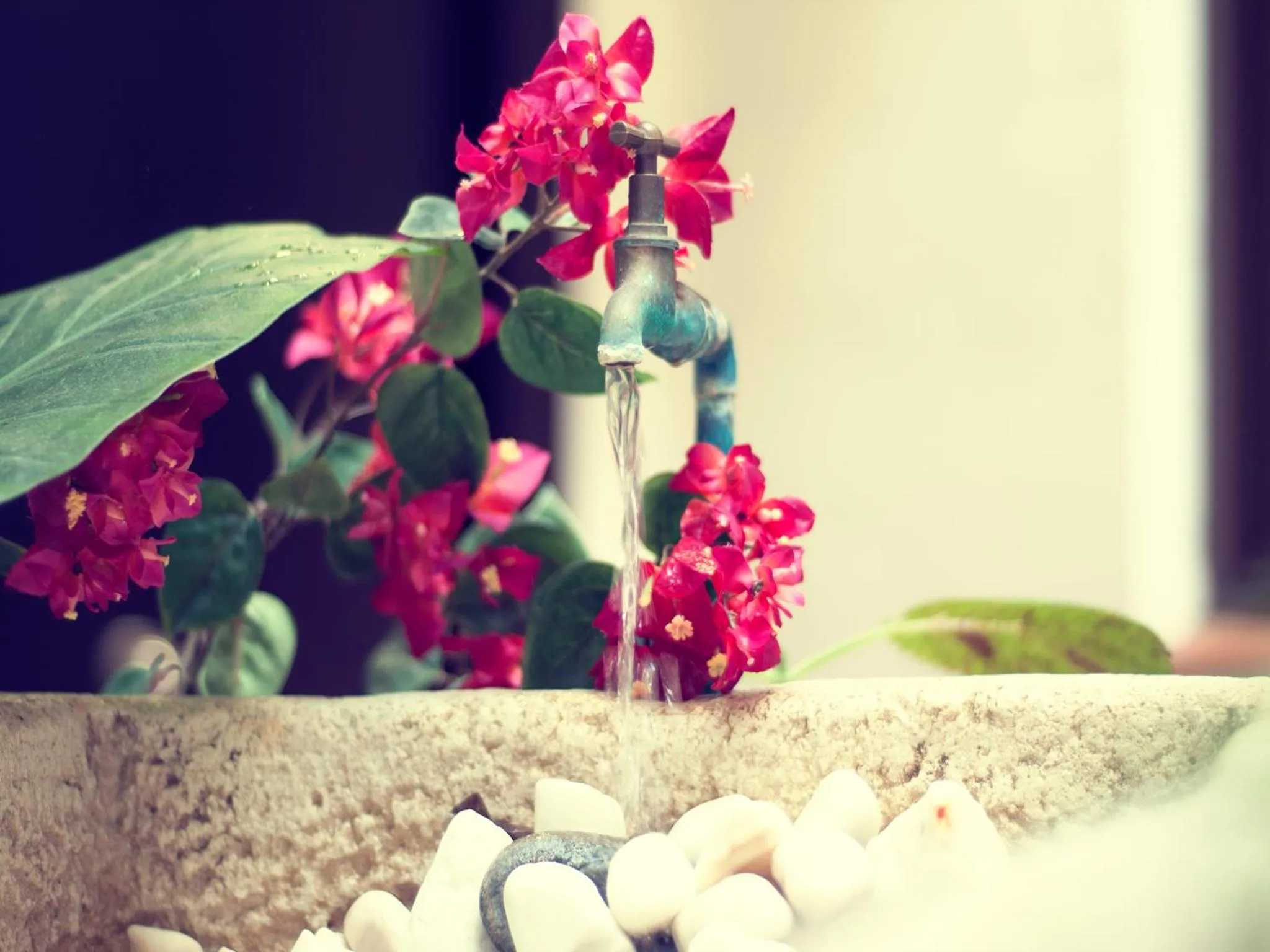 Other in I AM La Posada Hotel and Apartment