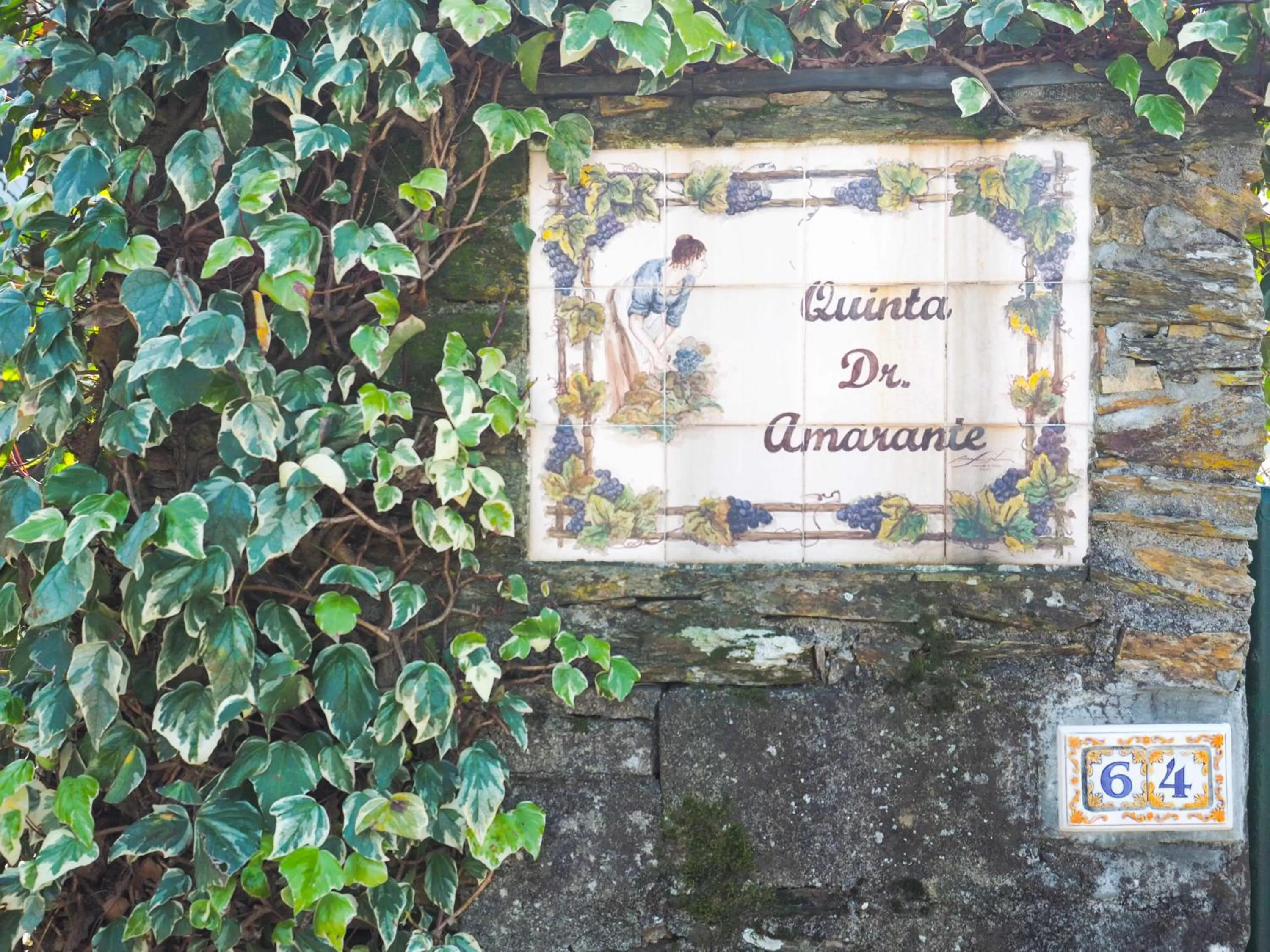Facade/entrance in Quinta Drº Amarante