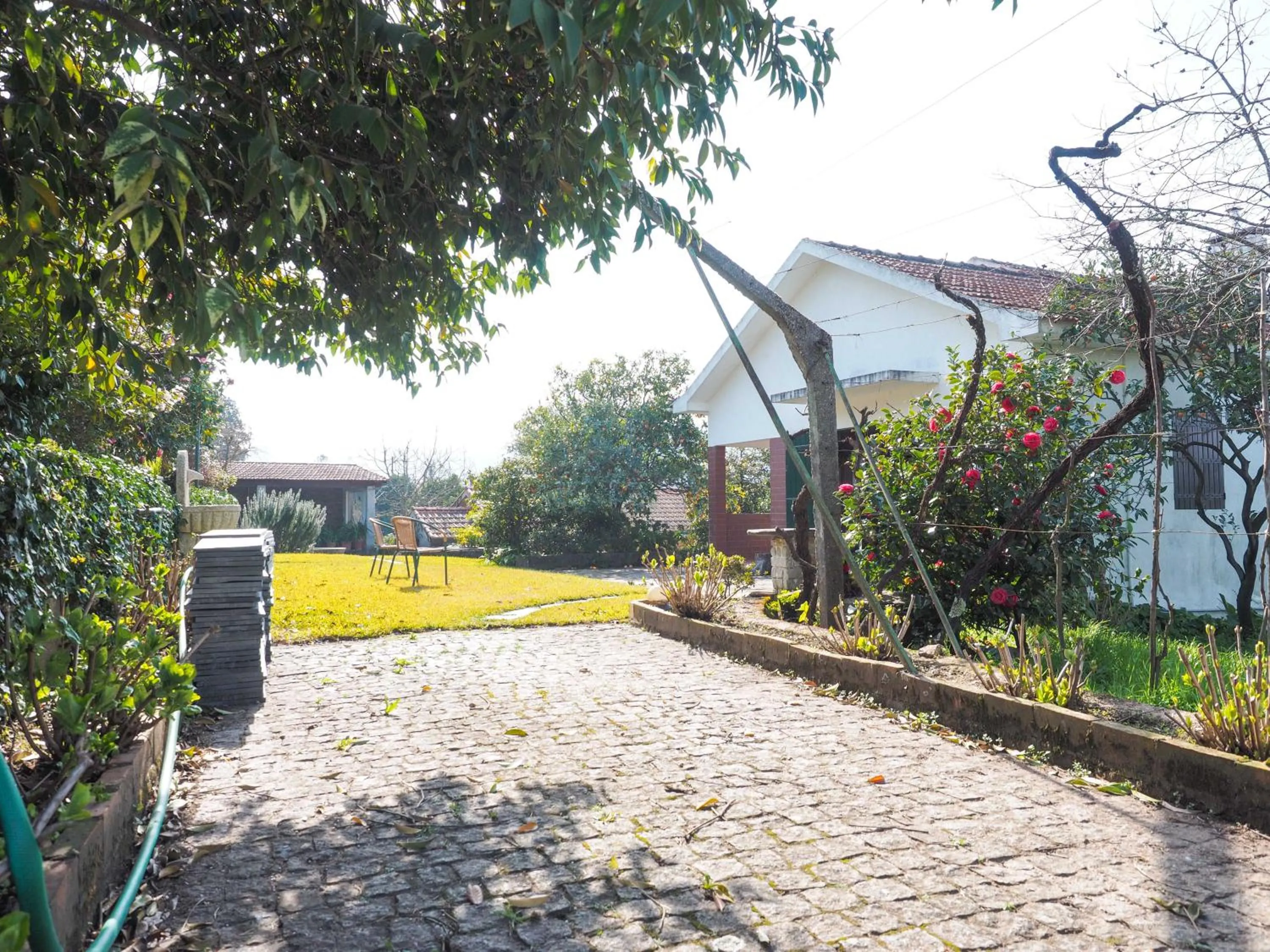 Property building in Quinta Drº Amarante