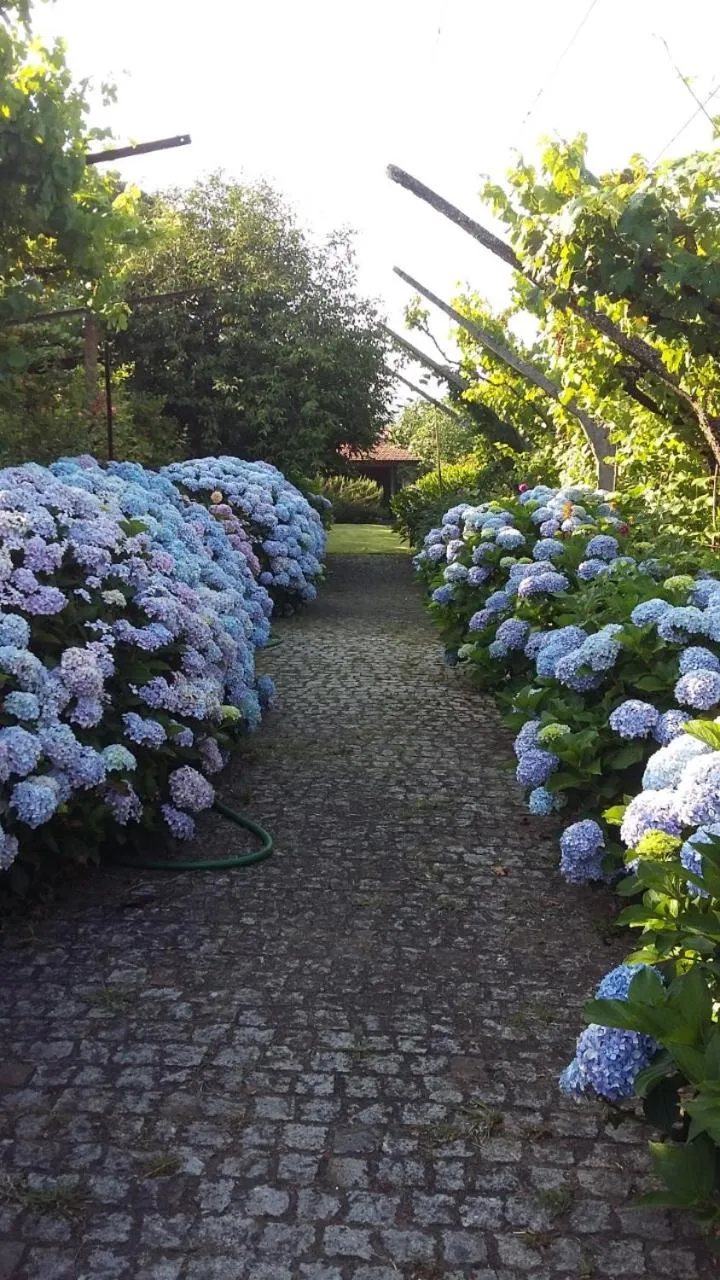 Garden view in Quinta Drº Amarante