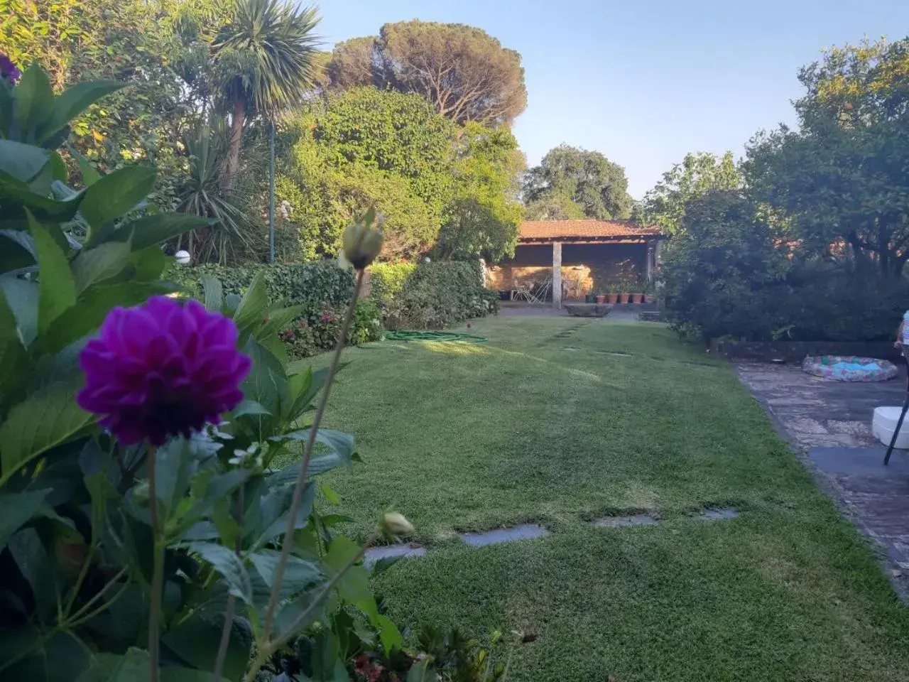 Quinta Drº Amarante Quinta Drº Amarante