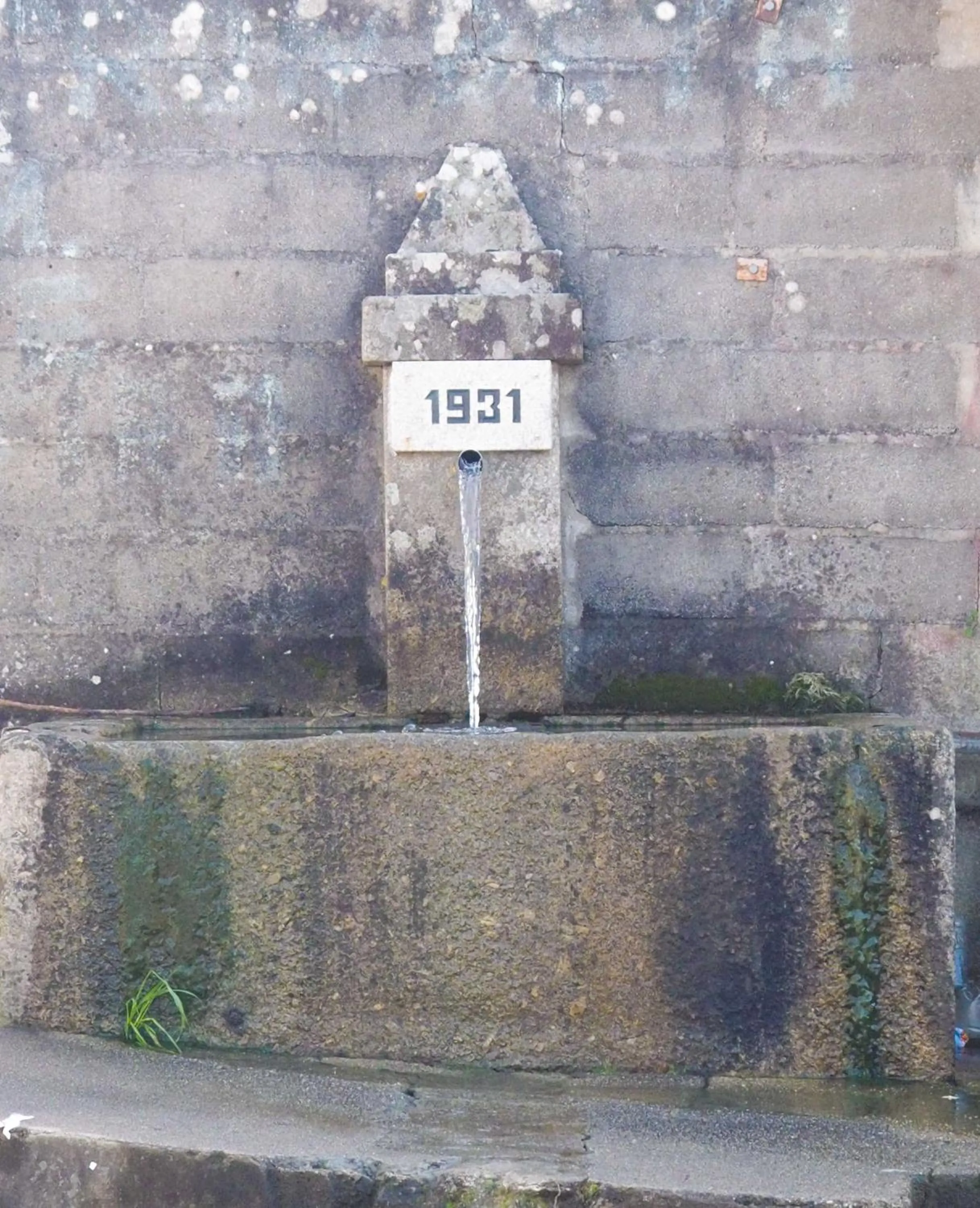 Quinta Drº Amarante