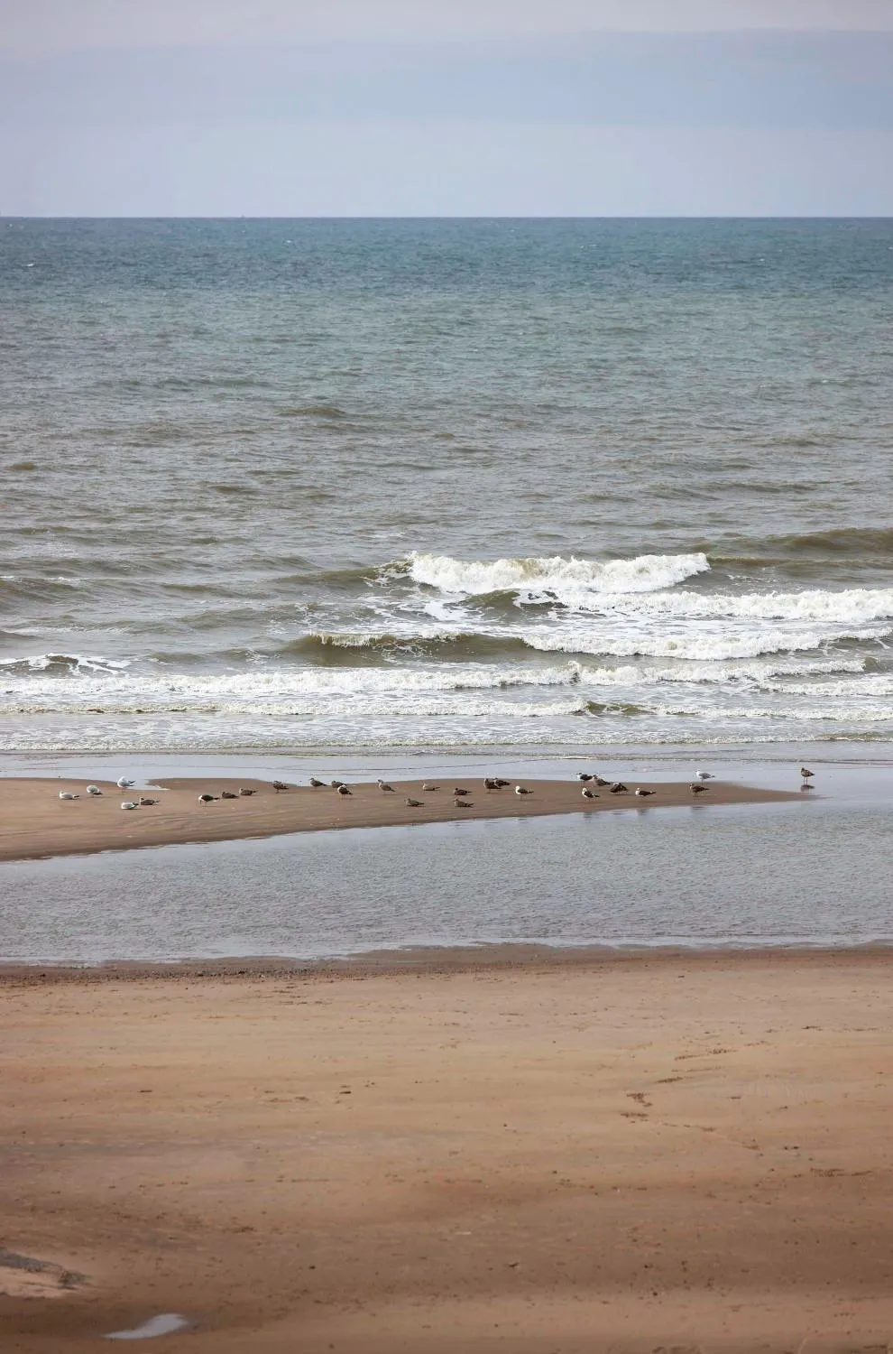 Natural landscape in Hotel Les Mouettes