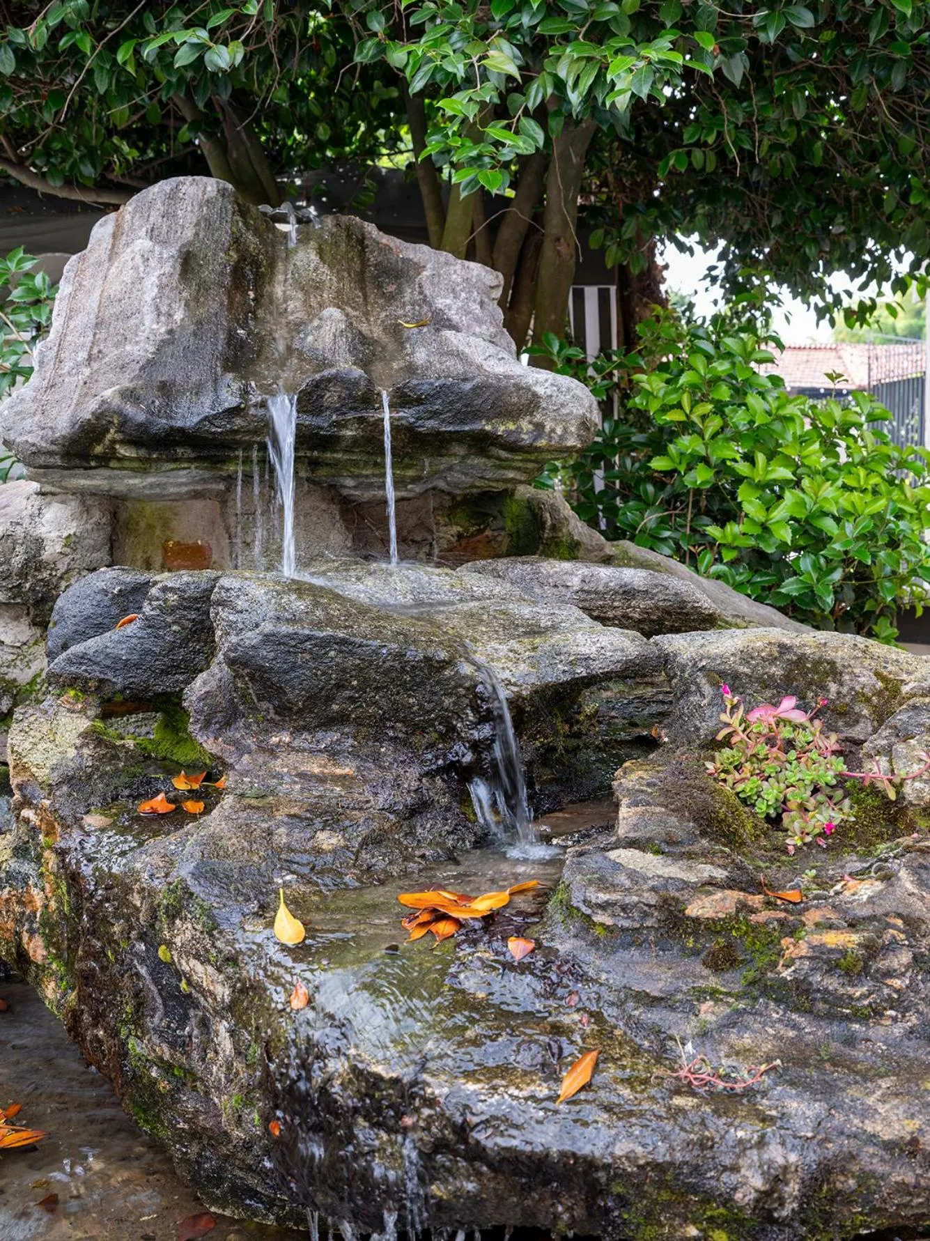 Spring in Al Castello Resort