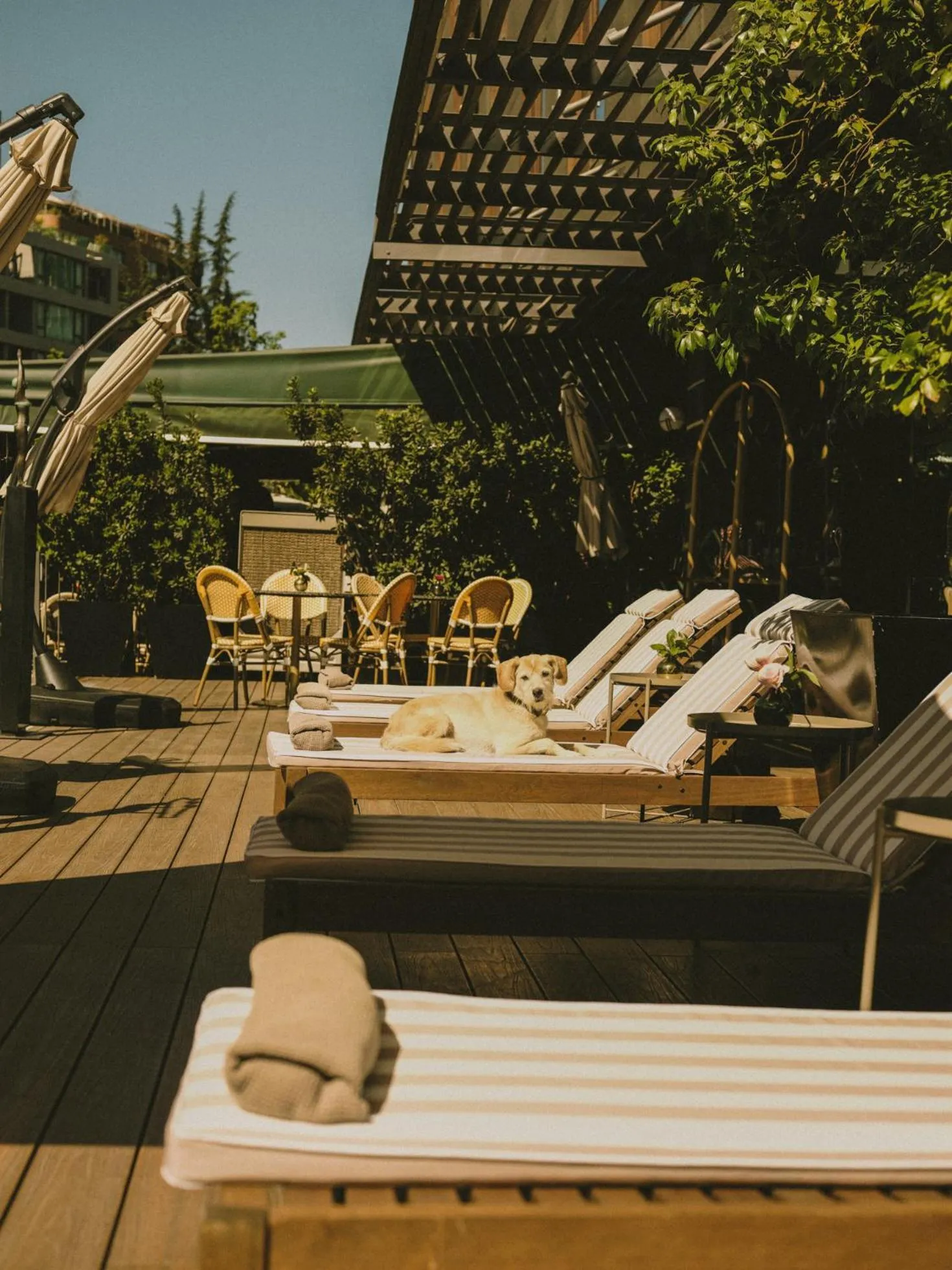 Pool view in Hotel Eco Boutique Bidasoa