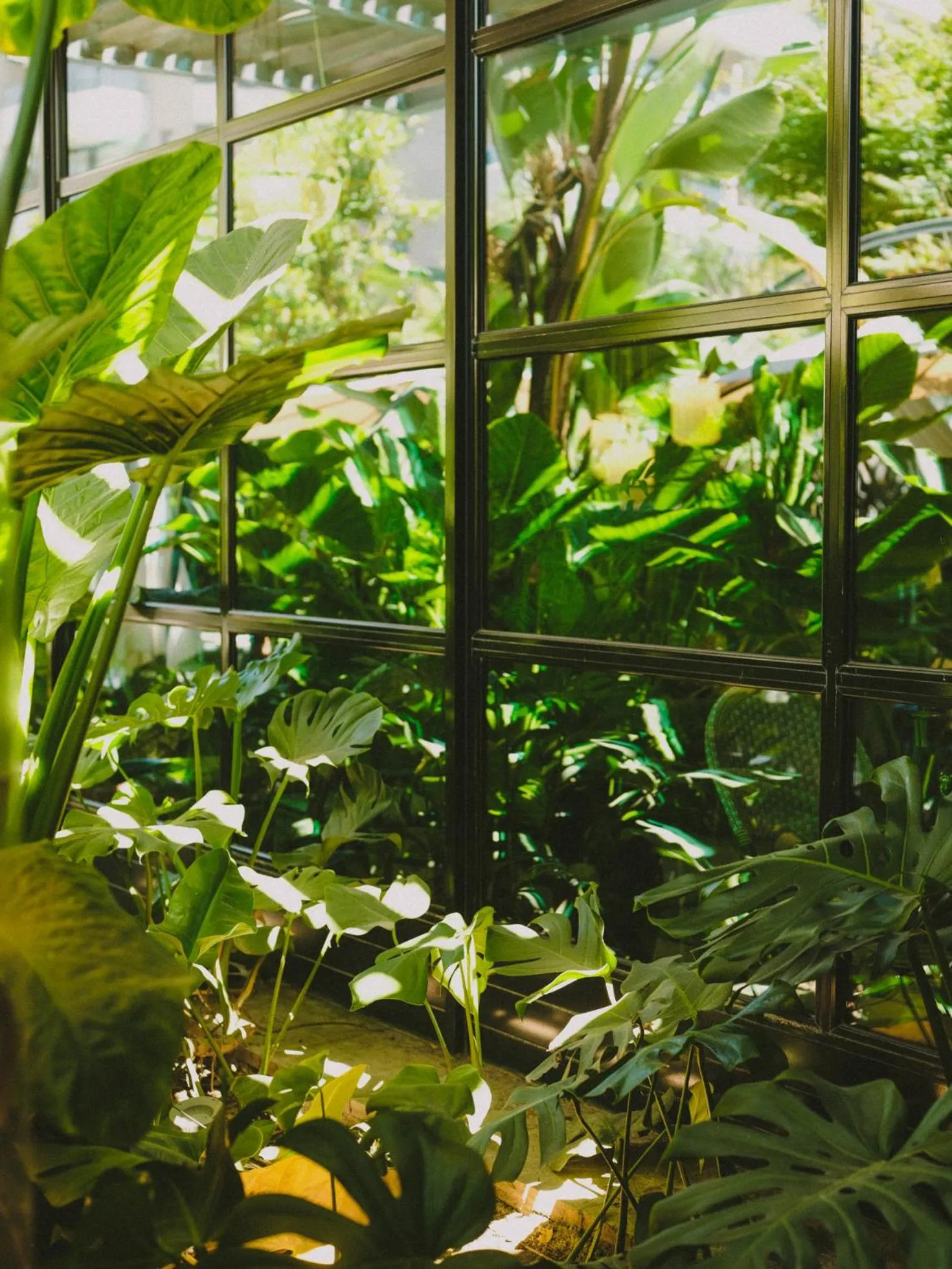 Garden view in Hotel Eco Boutique Bidasoa