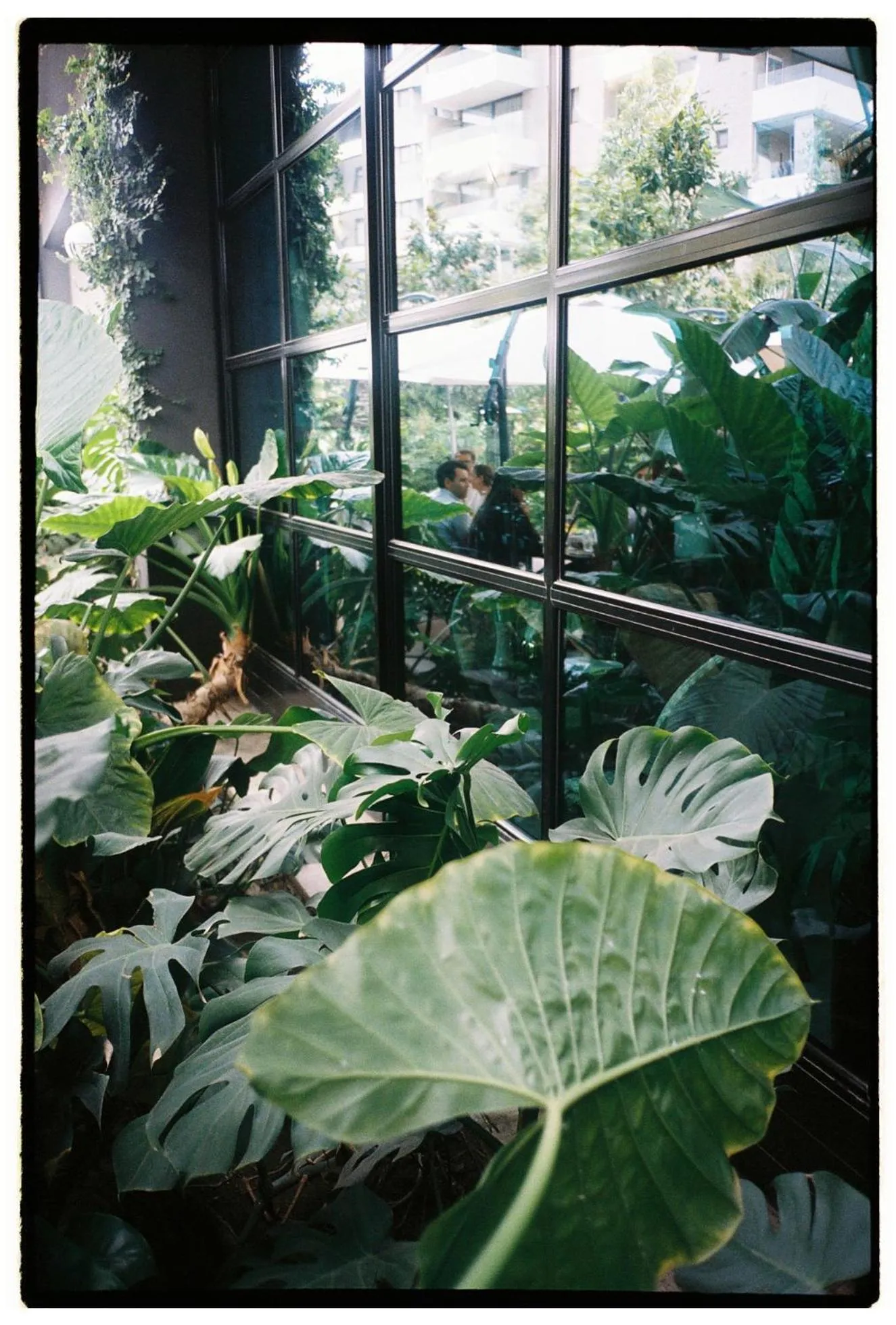 Restaurant/places to eat in Hotel Eco Boutique Bidasoa