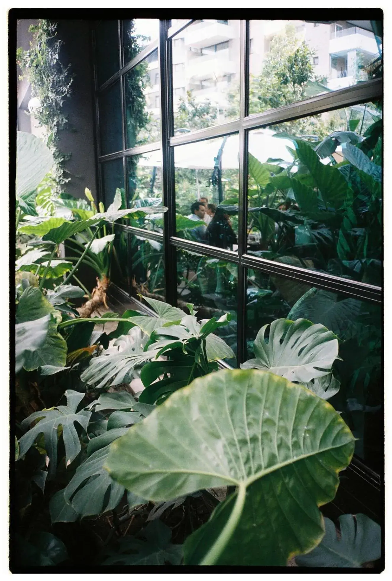 Restaurant/places to eat in Hotel Eco Boutique Bidasoa Restaurant/places to eat in Hotel Eco Boutique Bidasoa