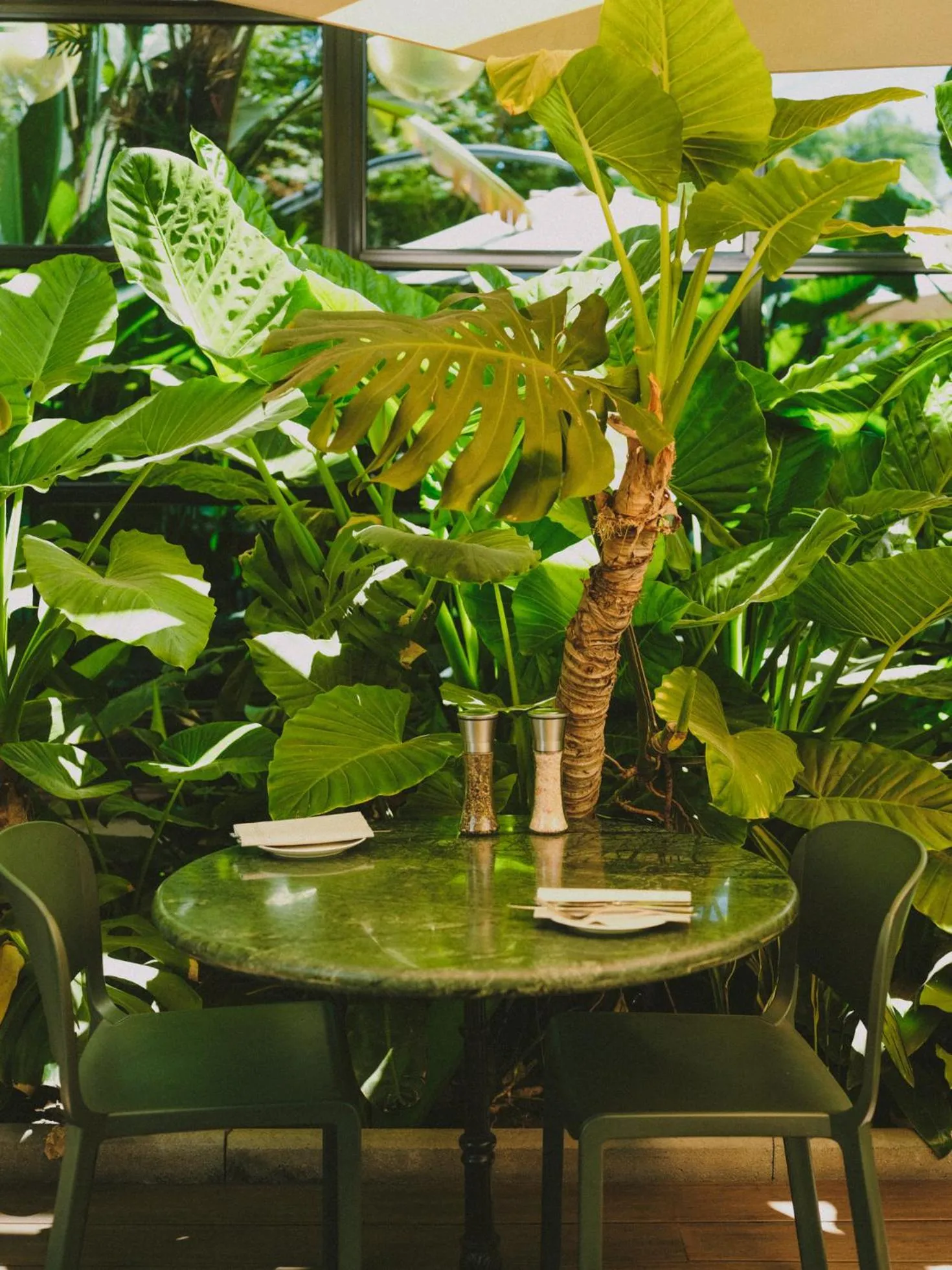 Garden view in Hotel Eco Boutique Bidasoa