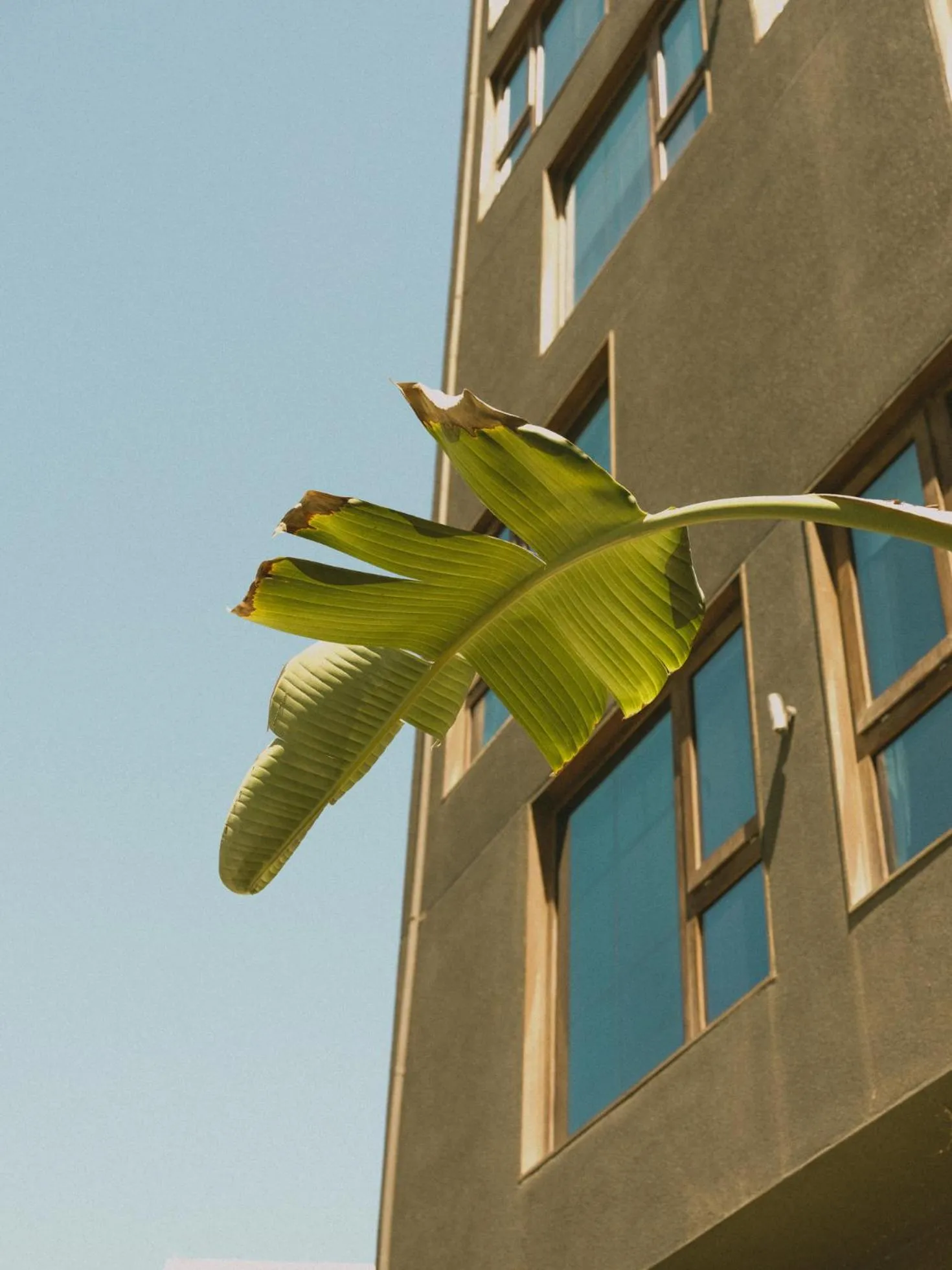 Property building in Hotel Eco Boutique Bidasoa