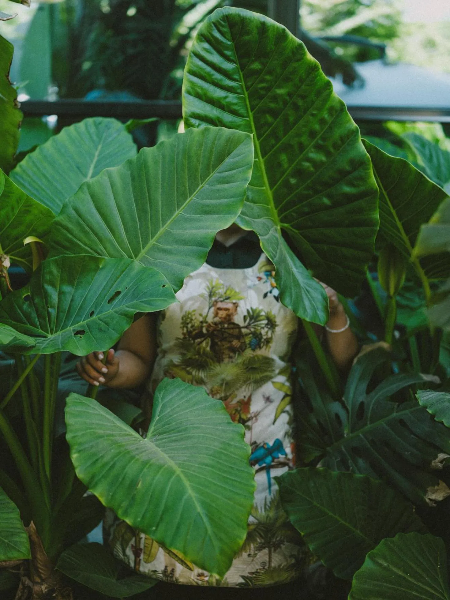 Garden in Hotel Eco Boutique Bidasoa
