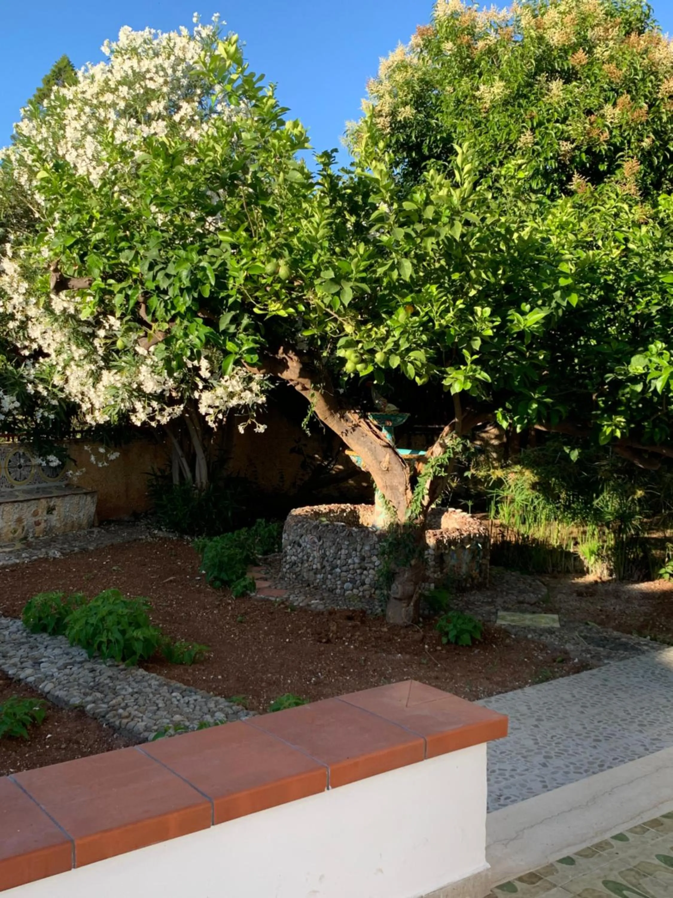 Garden in Casa Vacanze Astori
