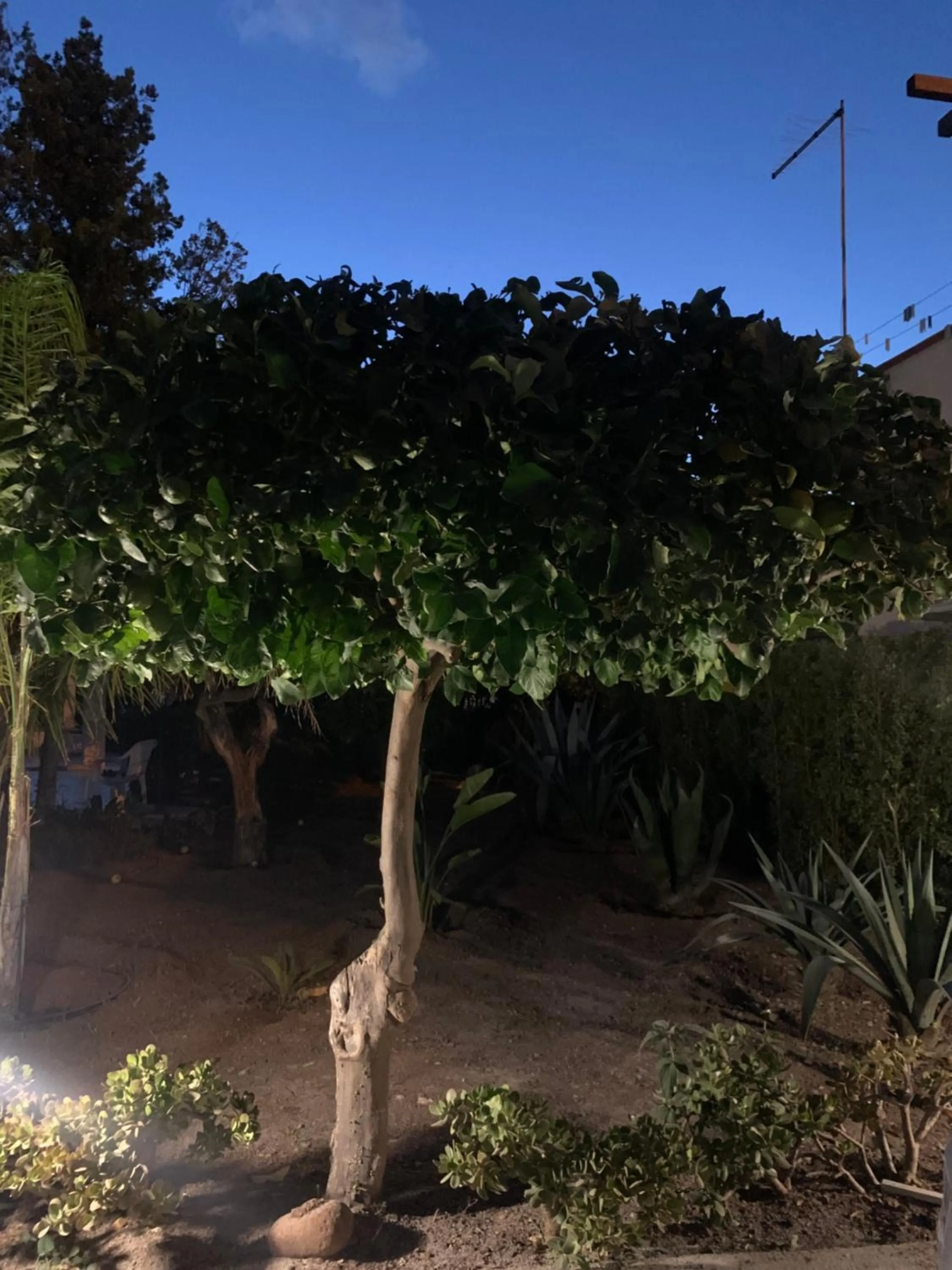Garden in Casa Vacanze Astori