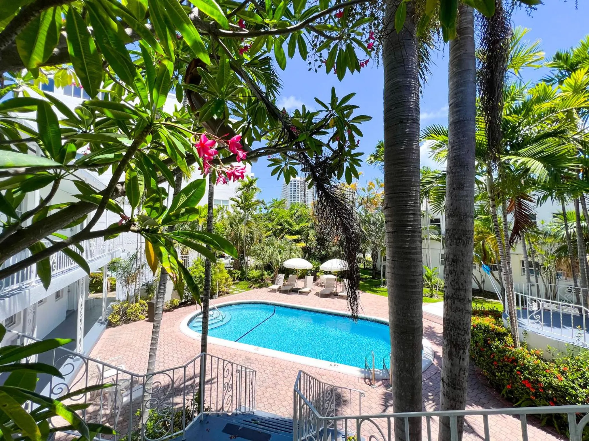 Natural landscape in Winterset