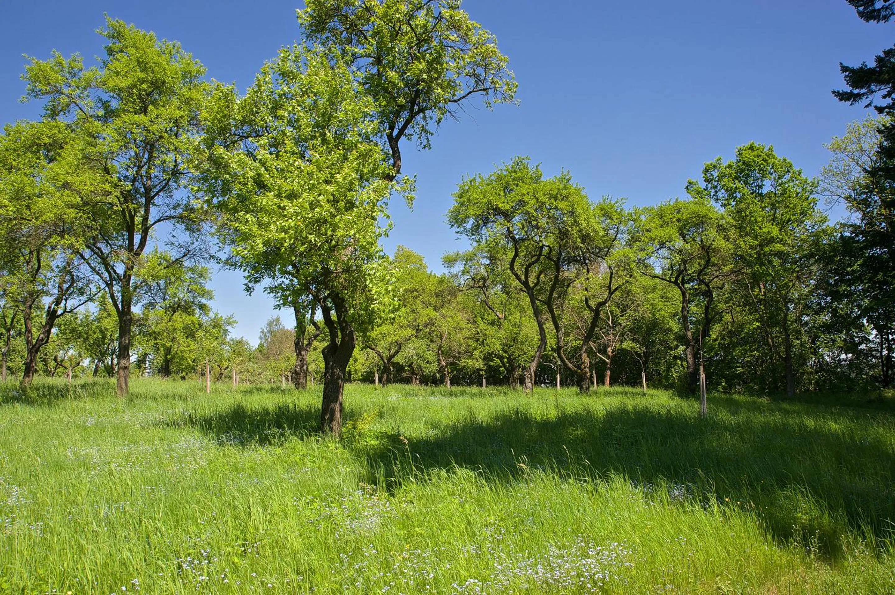 Balcony/Terrace in Zámek Ratměřice - Hotel & Resort