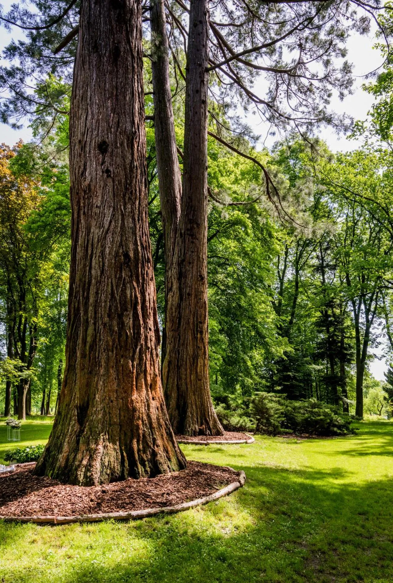 Garden in Zámek Ratměřice - Hotel & Resort
