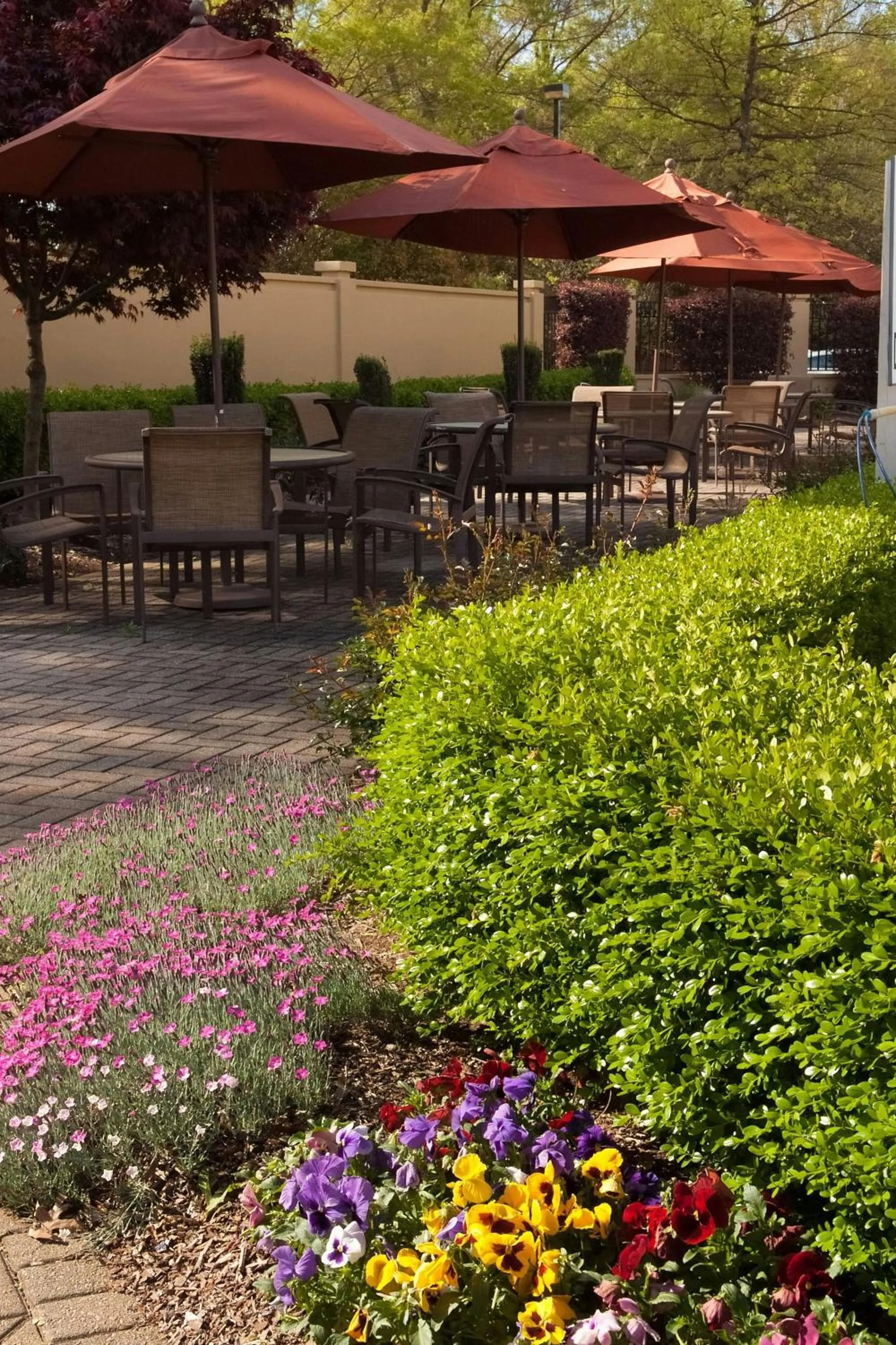 View (from property/room) in Greenville Marriott